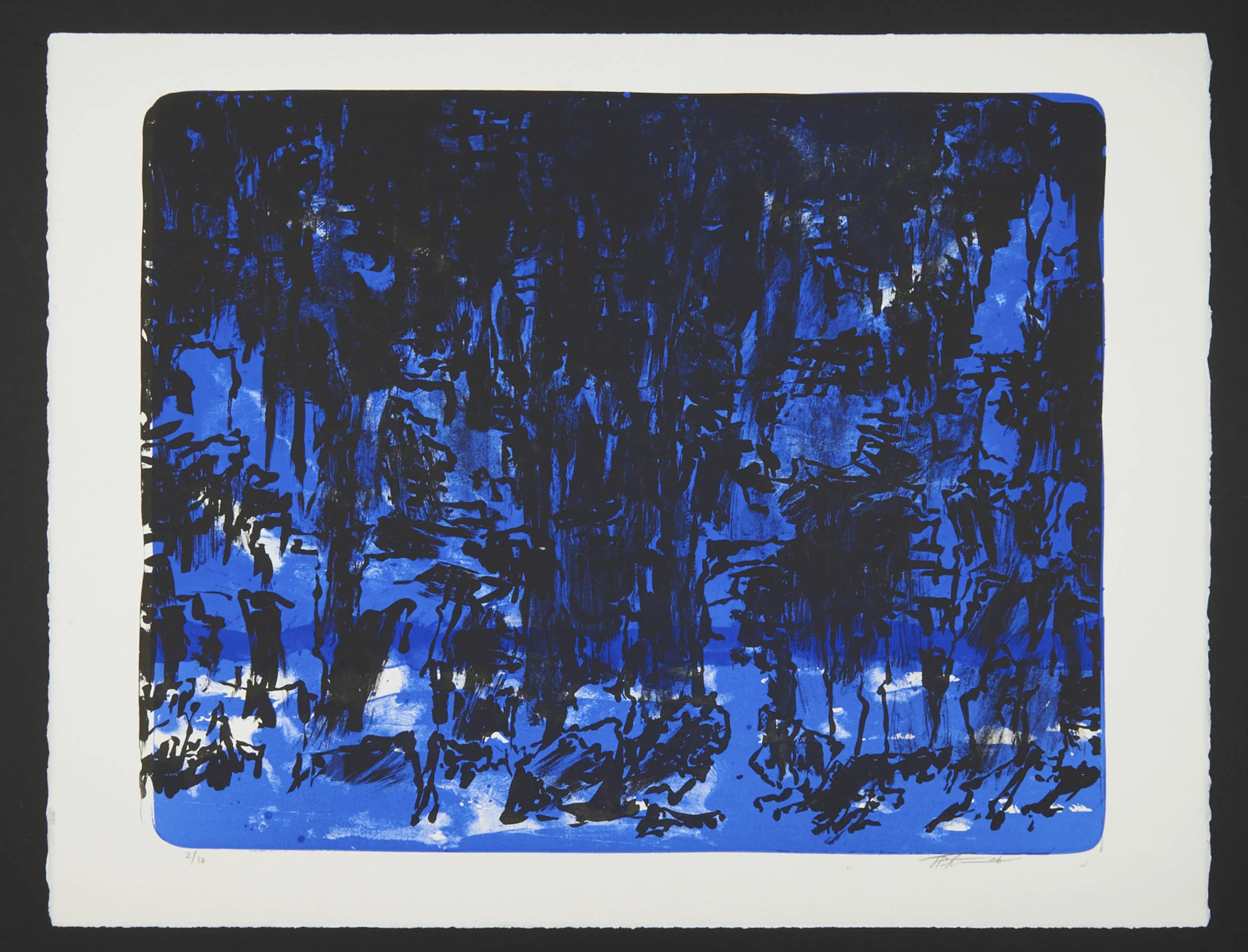 291-Trondur Patursson 05 50,5 x 66.jpg