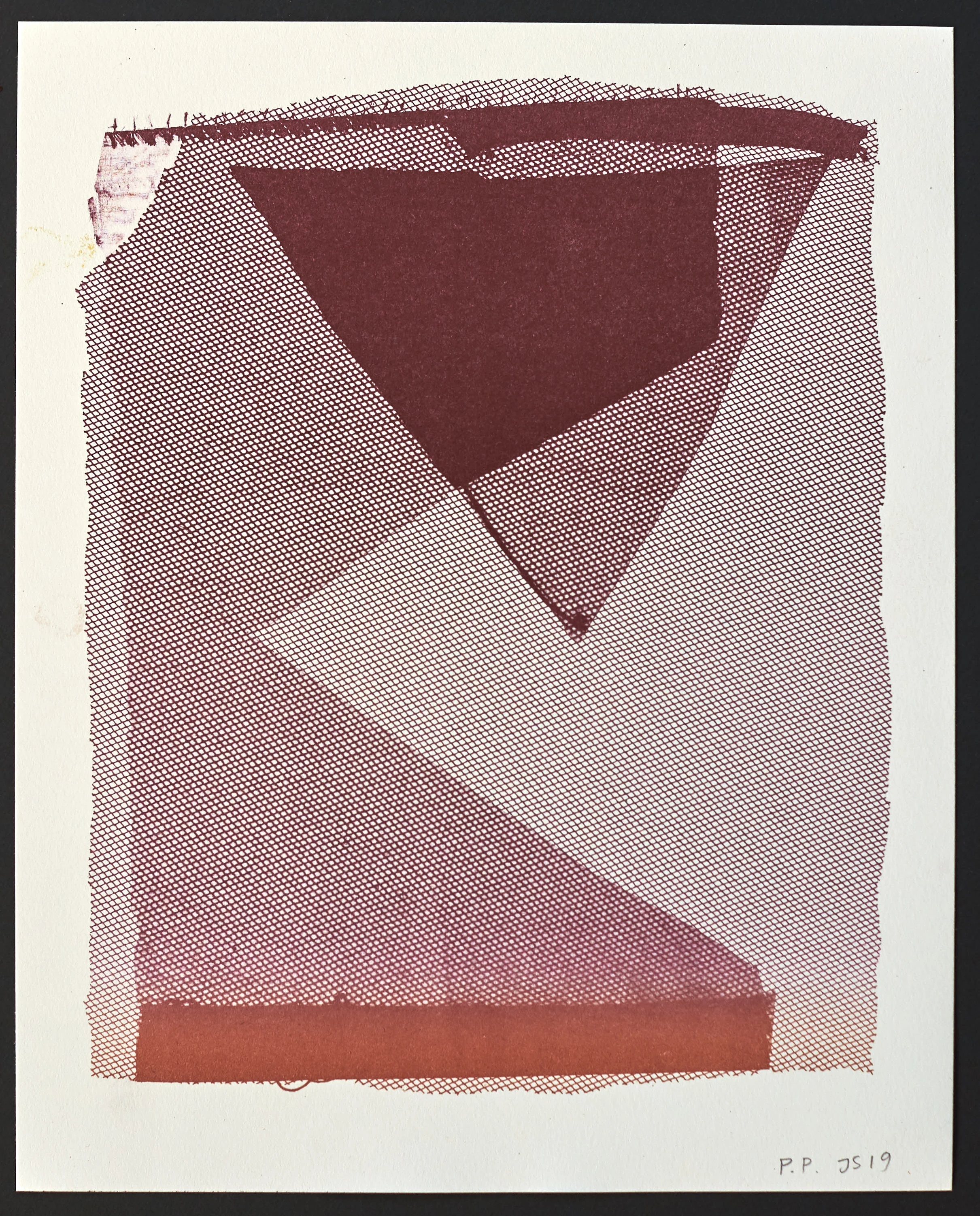 335 Julie Sass 2019 26 x 32.jpg