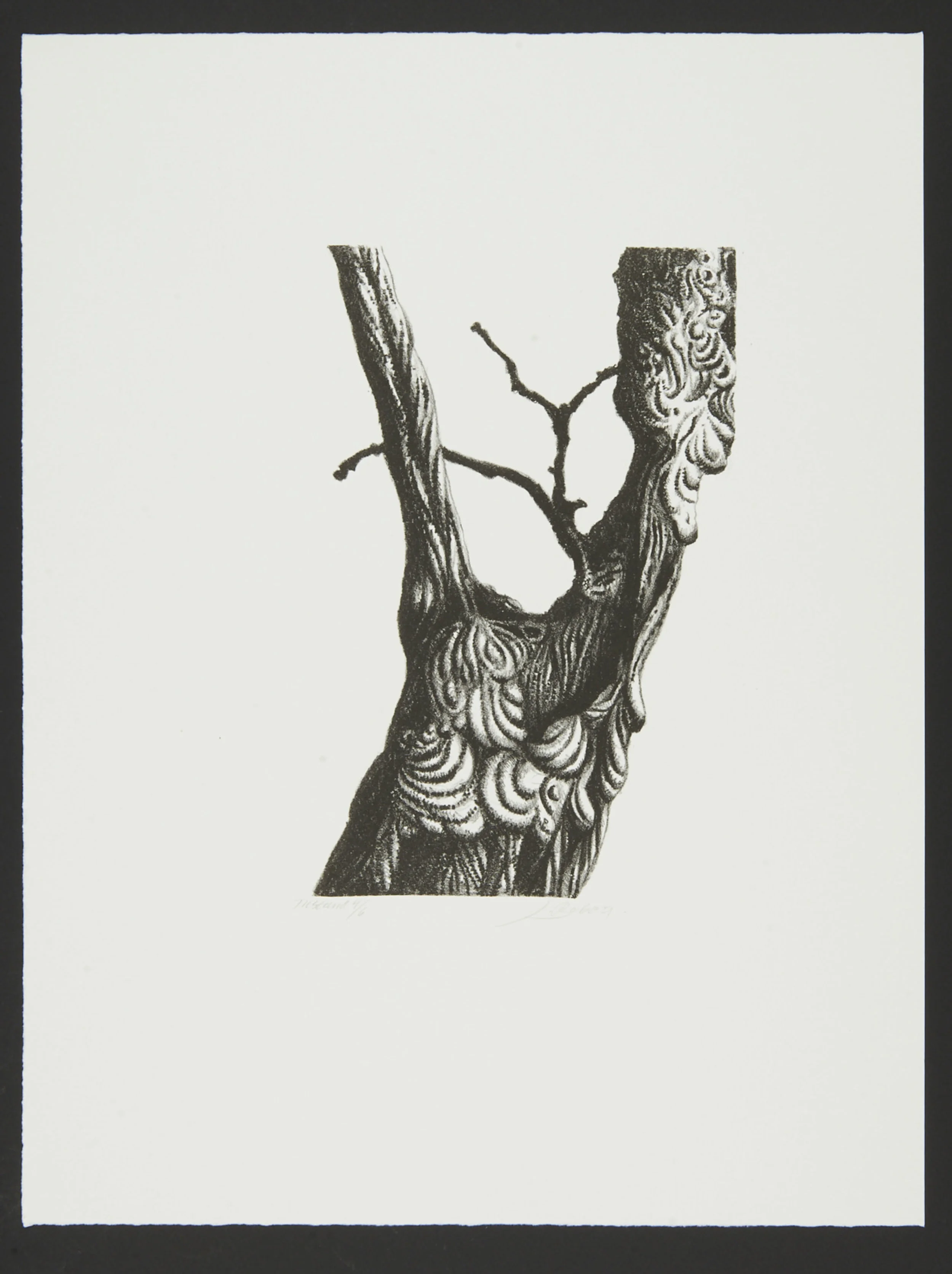 182-Jørgen Boberg 05 34 x 45,5.jpg