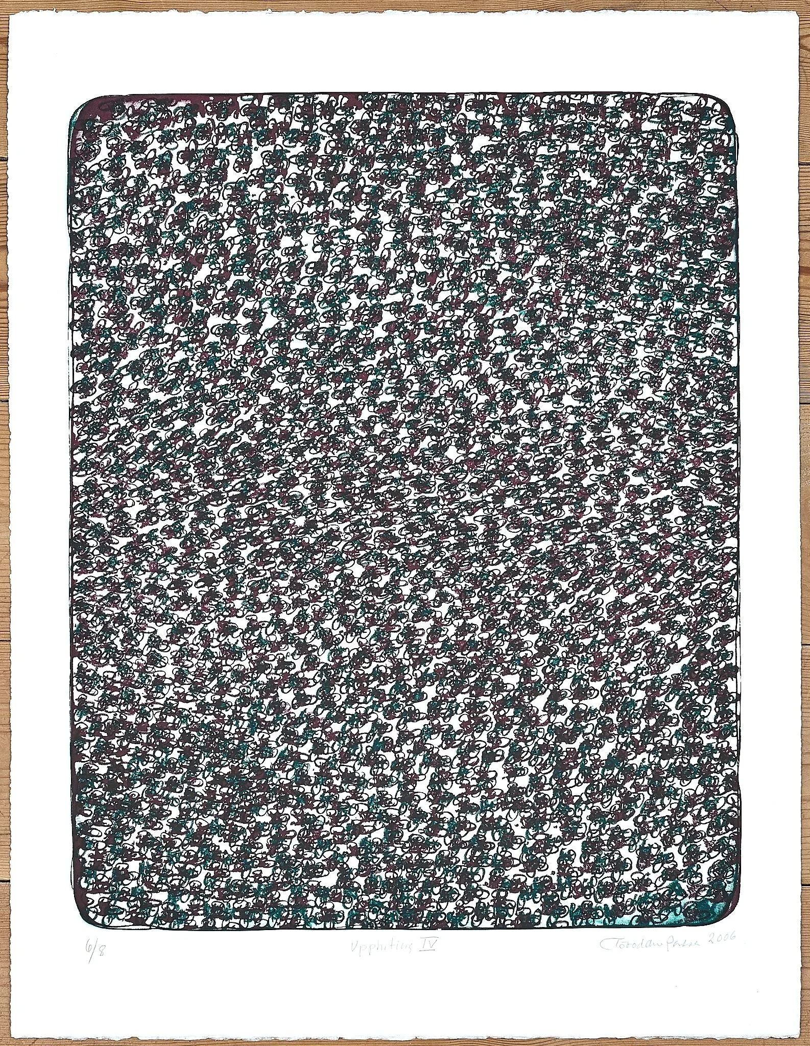 ToPo+11+66+x+50.5+2006+8.jpg