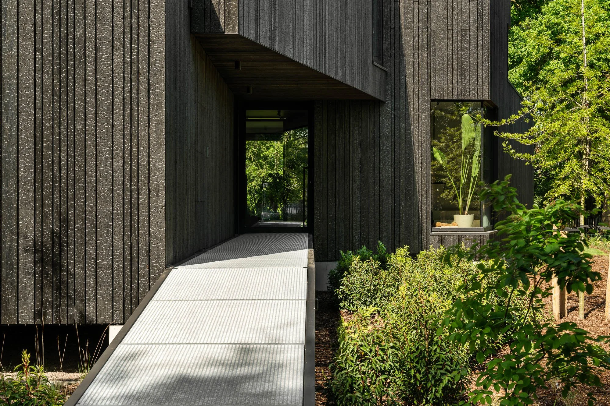 © Jonah Samyn-3873-LR.jpg