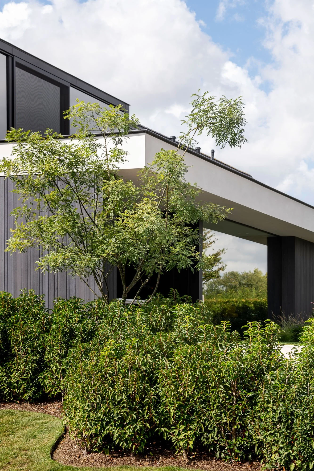 007© Jonah Samyn-0561-LR.jpg