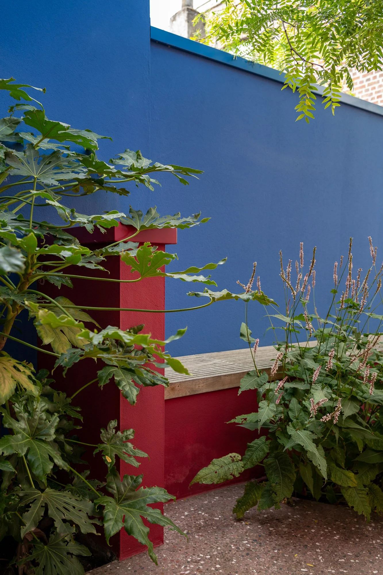 © Jonah Samyn-6110-LR.jpg