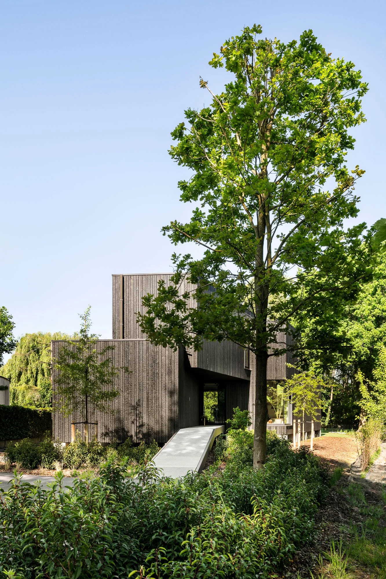 Sculpturale houten woning