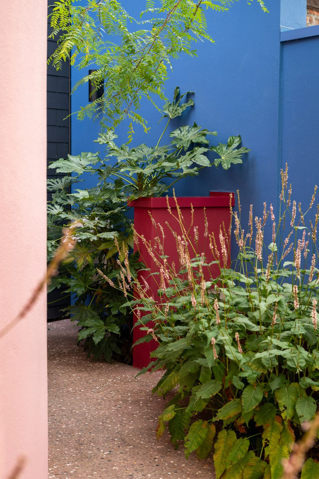 © Jonah Samyn-6236-LR.jpg