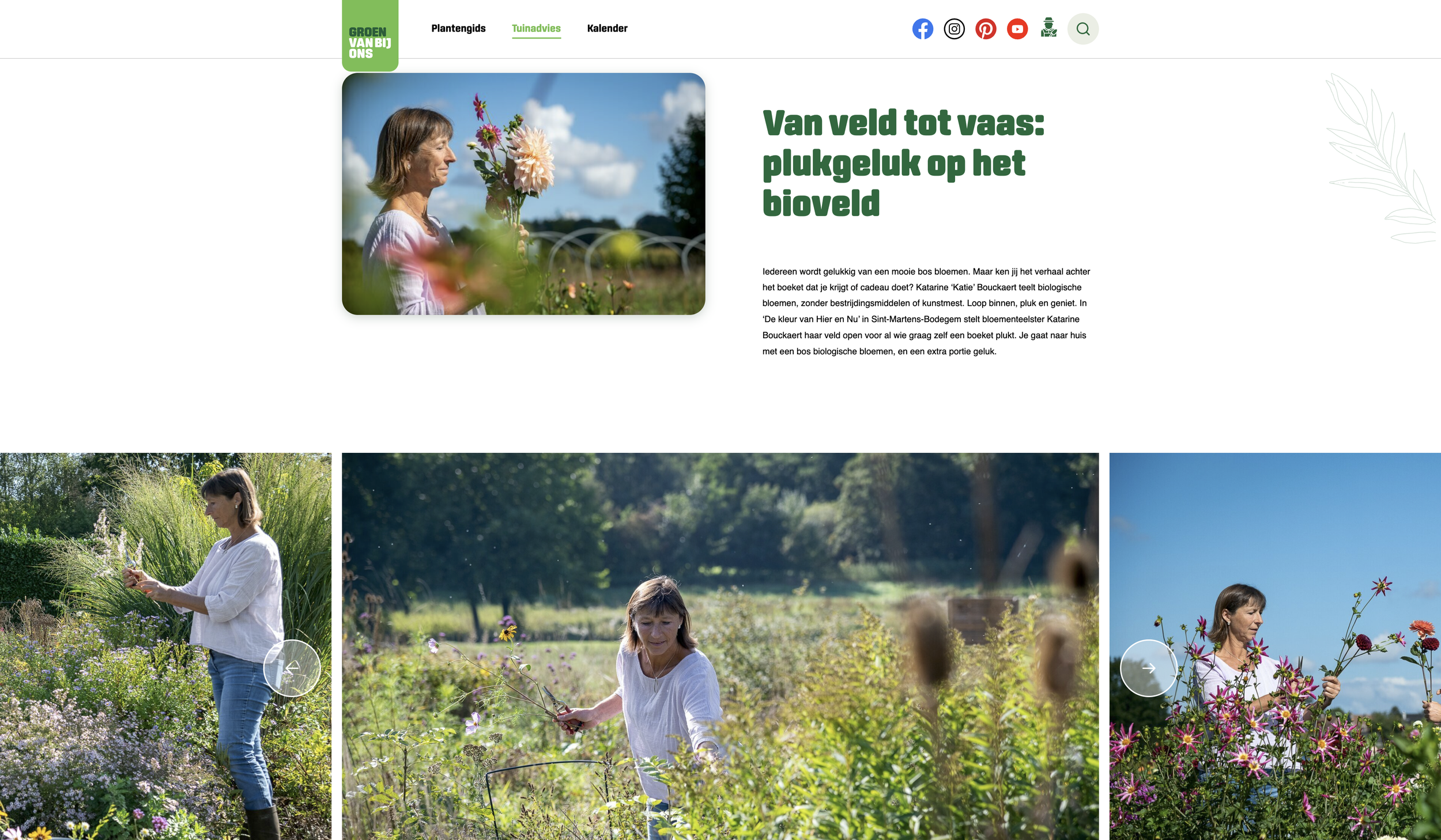 Schermafbeelding 2022-12-16 om 11.41.20.png