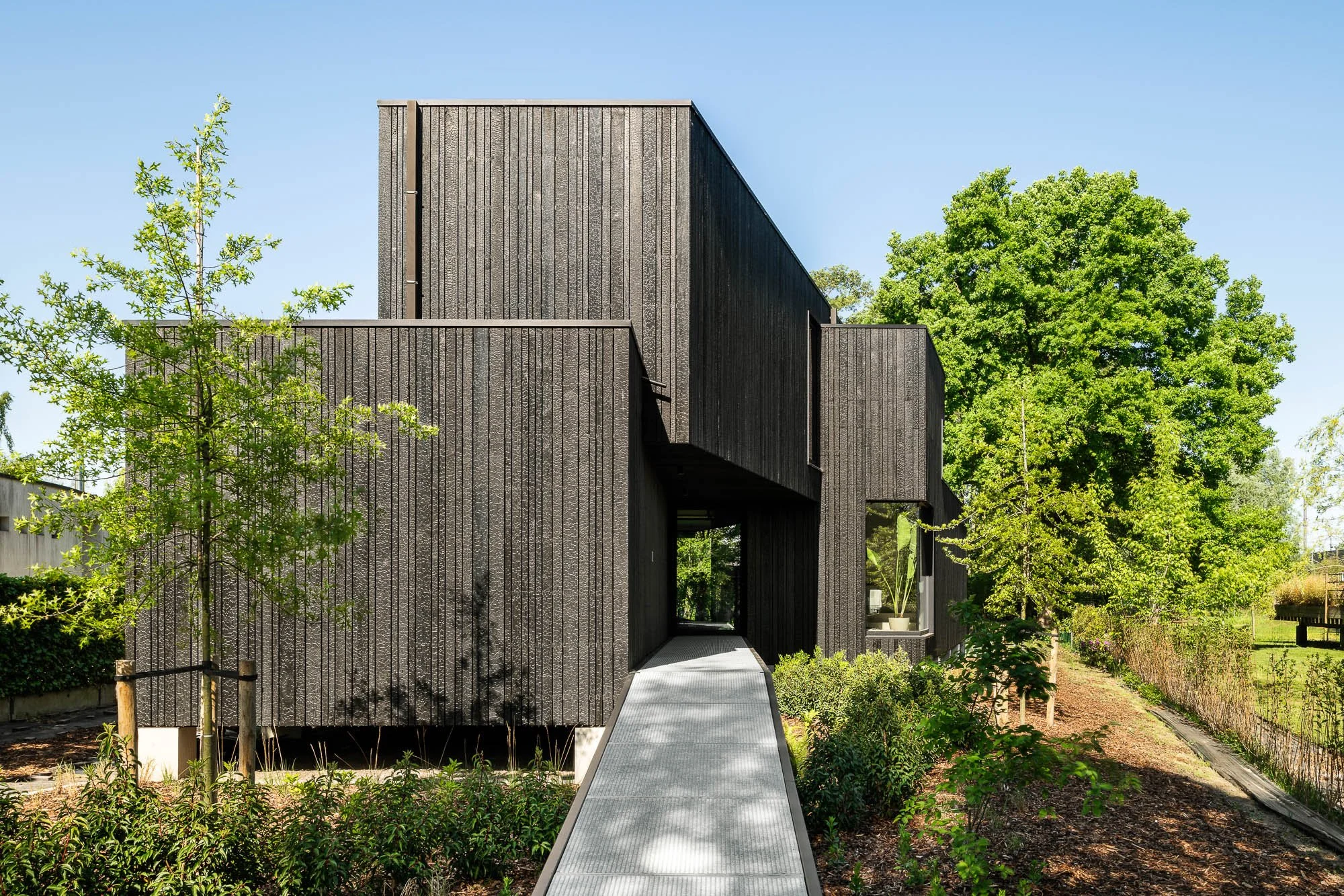 © Jonah Samyn-3738-LR.jpg