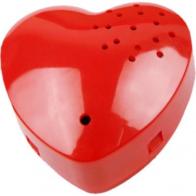 Heartbeat Recorder