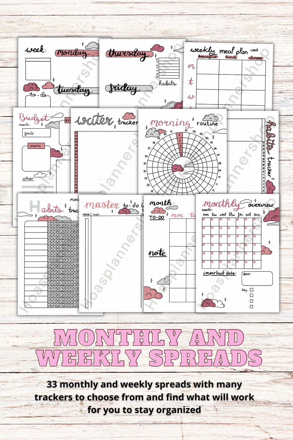 2025 planner pink cloud full year page 3.png