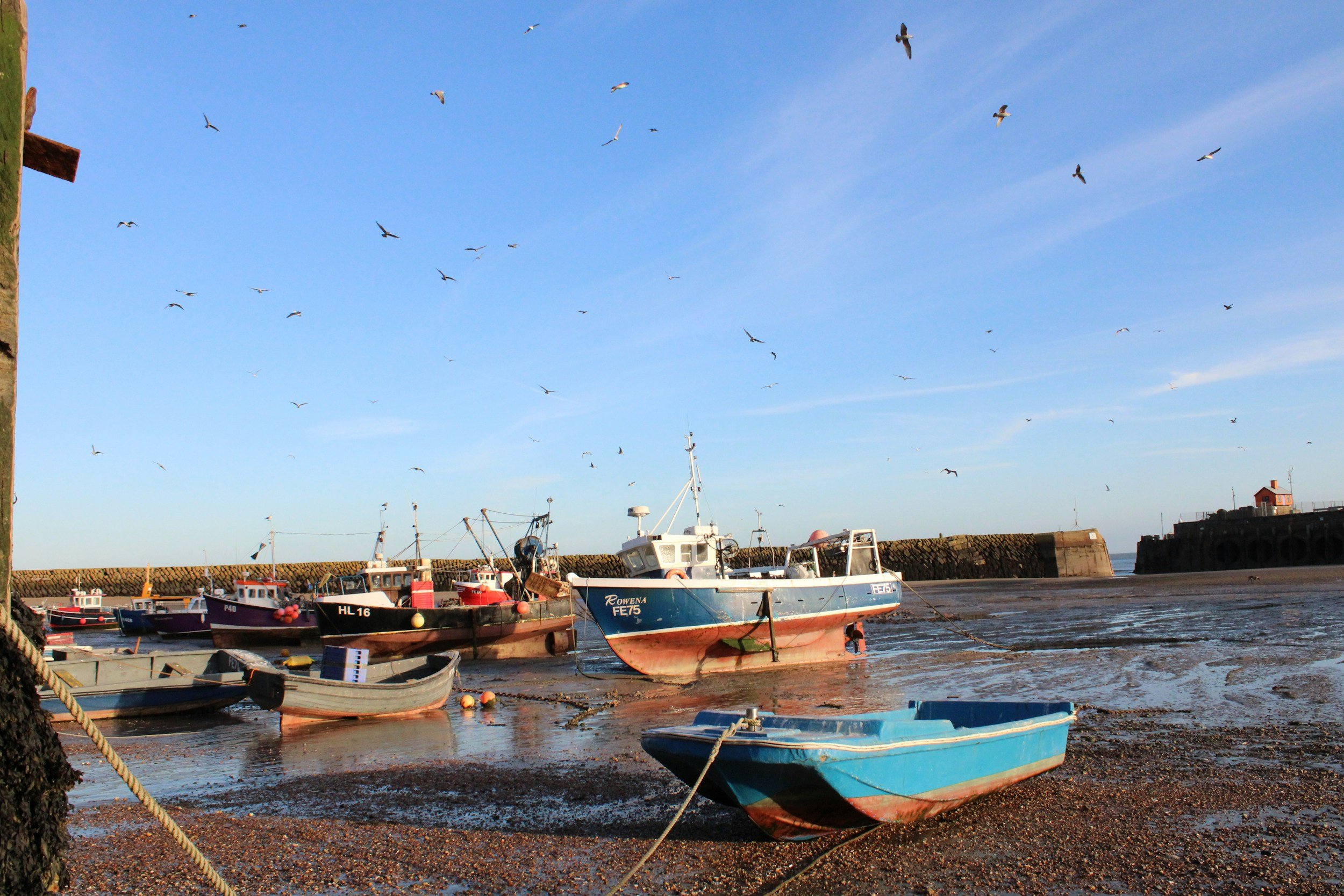 Several boats anchored at a harbor during low tide with seagulls flying overhead and a stone breakwater in the background under a blue sky.