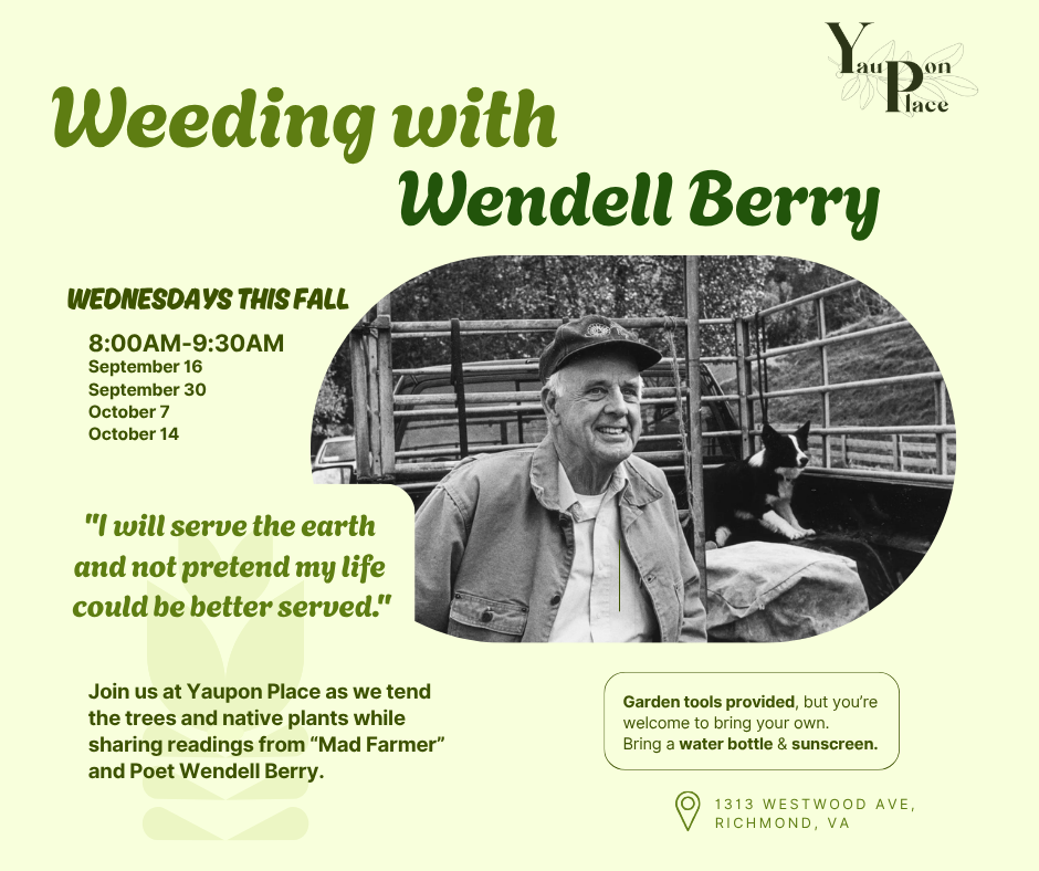 Weeding with Wendell Berry 