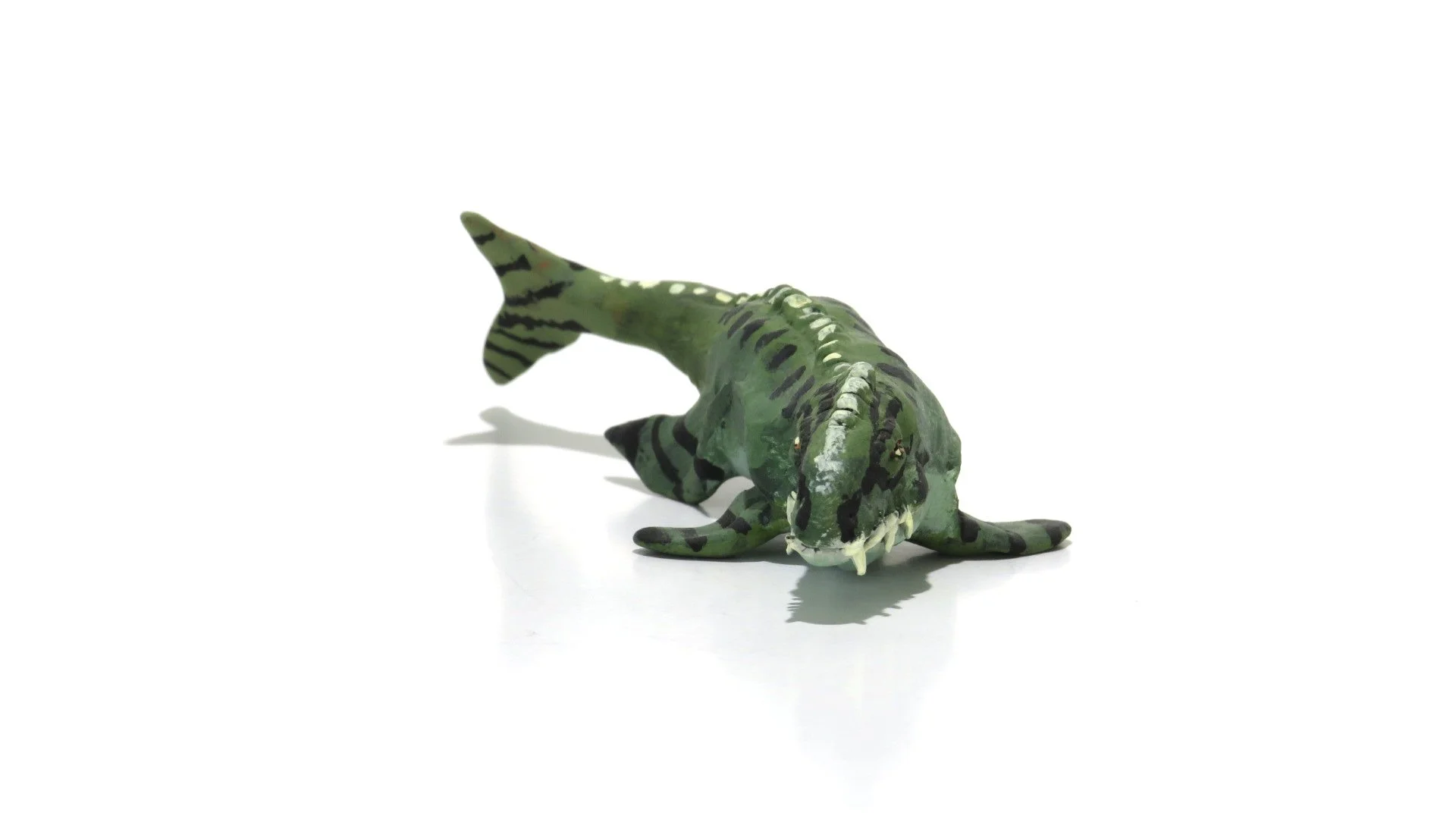 Dakosaurus