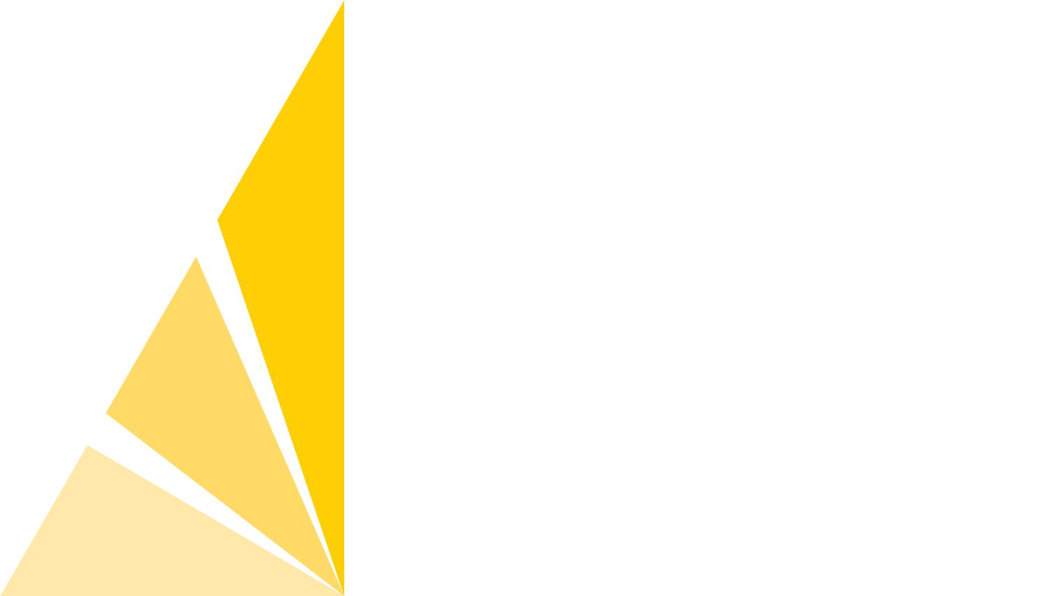 Rise Prosthetics