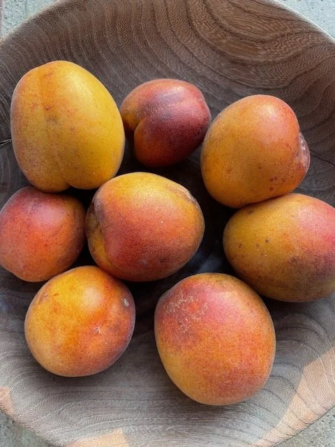 Abricotier "Précoce Bordas"