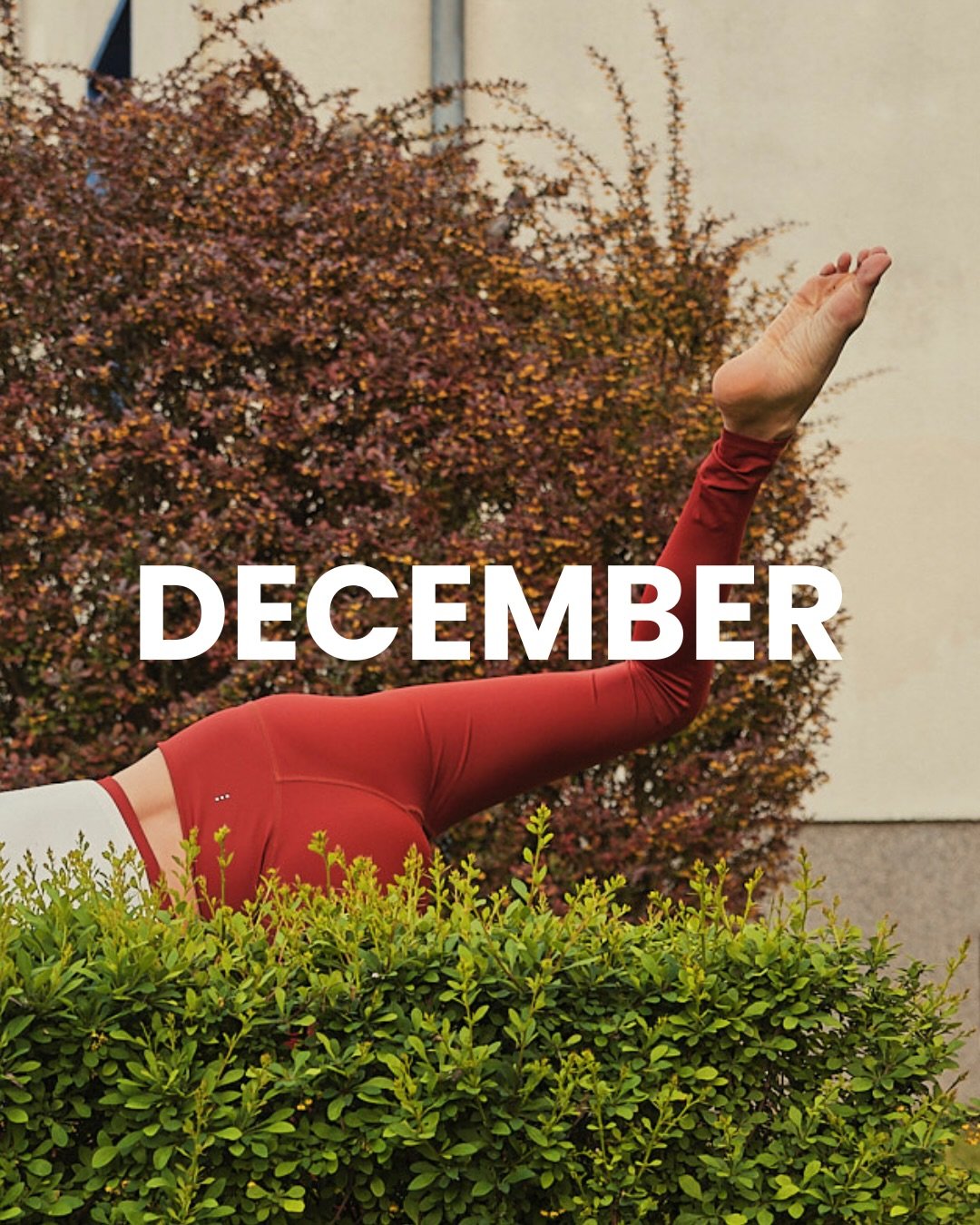 Classes in Berlin will go on until the 20th of December, before a quick holiday break. 🛷❄️🌲

&mdash;-> Schedule as follows: 

Monday
4:30 pm @greenyoga.co Fhain
6 pm @greenyoga.co Fhain

Wednesday 
7:30 am @mindfullife.berlin 
4:30 pm @greenyoga