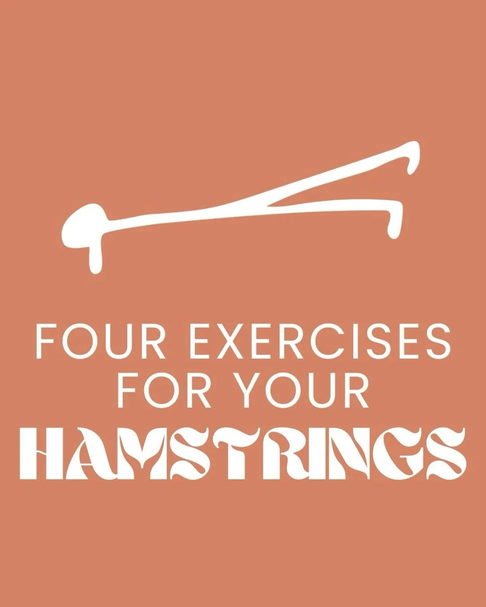 We stretch the hamstrings a lot in yoga and that&rsquo;s useful, but strength matters just as much.
Healthy hamstrings need both concentric work (when they are shortening) and eccentric work (when they are lengthening) to support the knees, hips, and