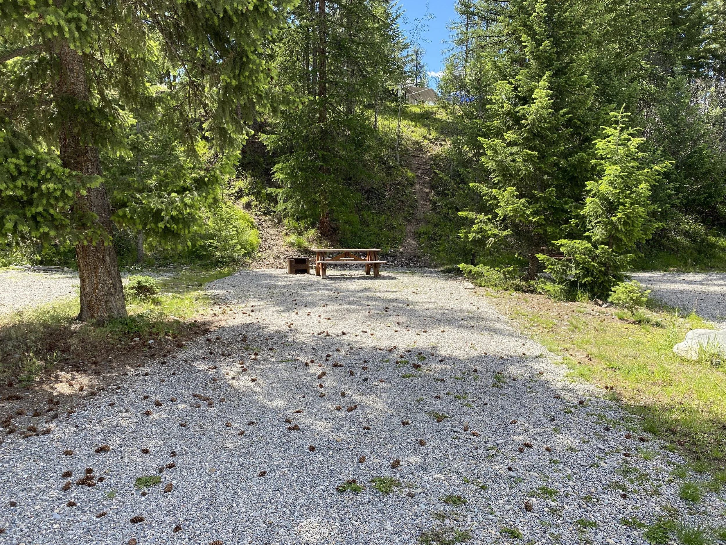 Site NS3 - 30' long