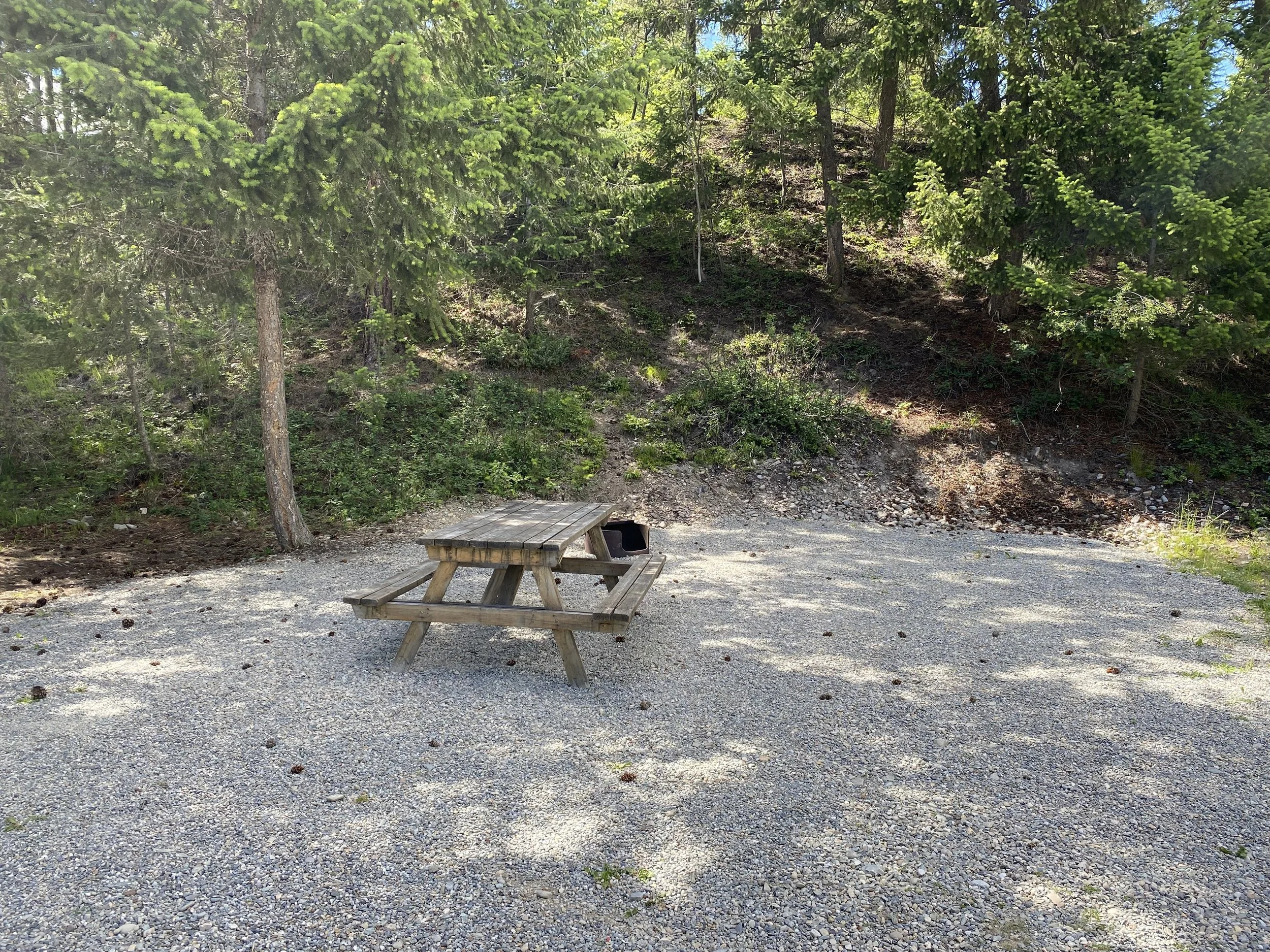 Site NS7 - 20' long