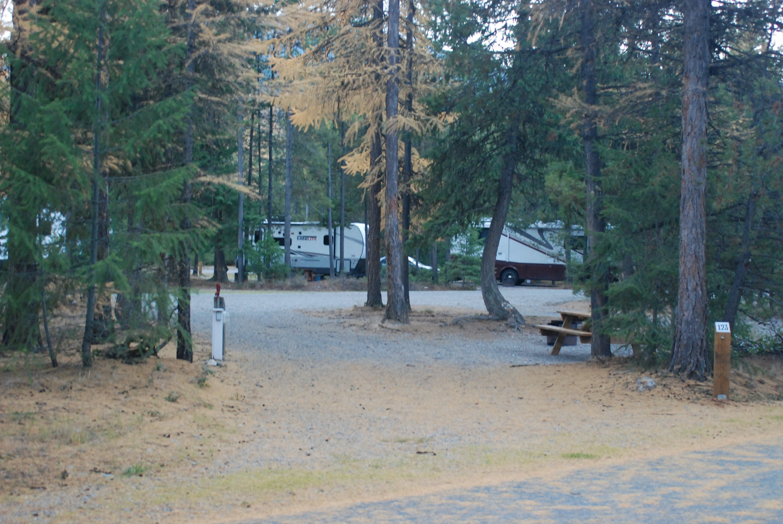 Site 123 - 65' long - 12'-23' wide