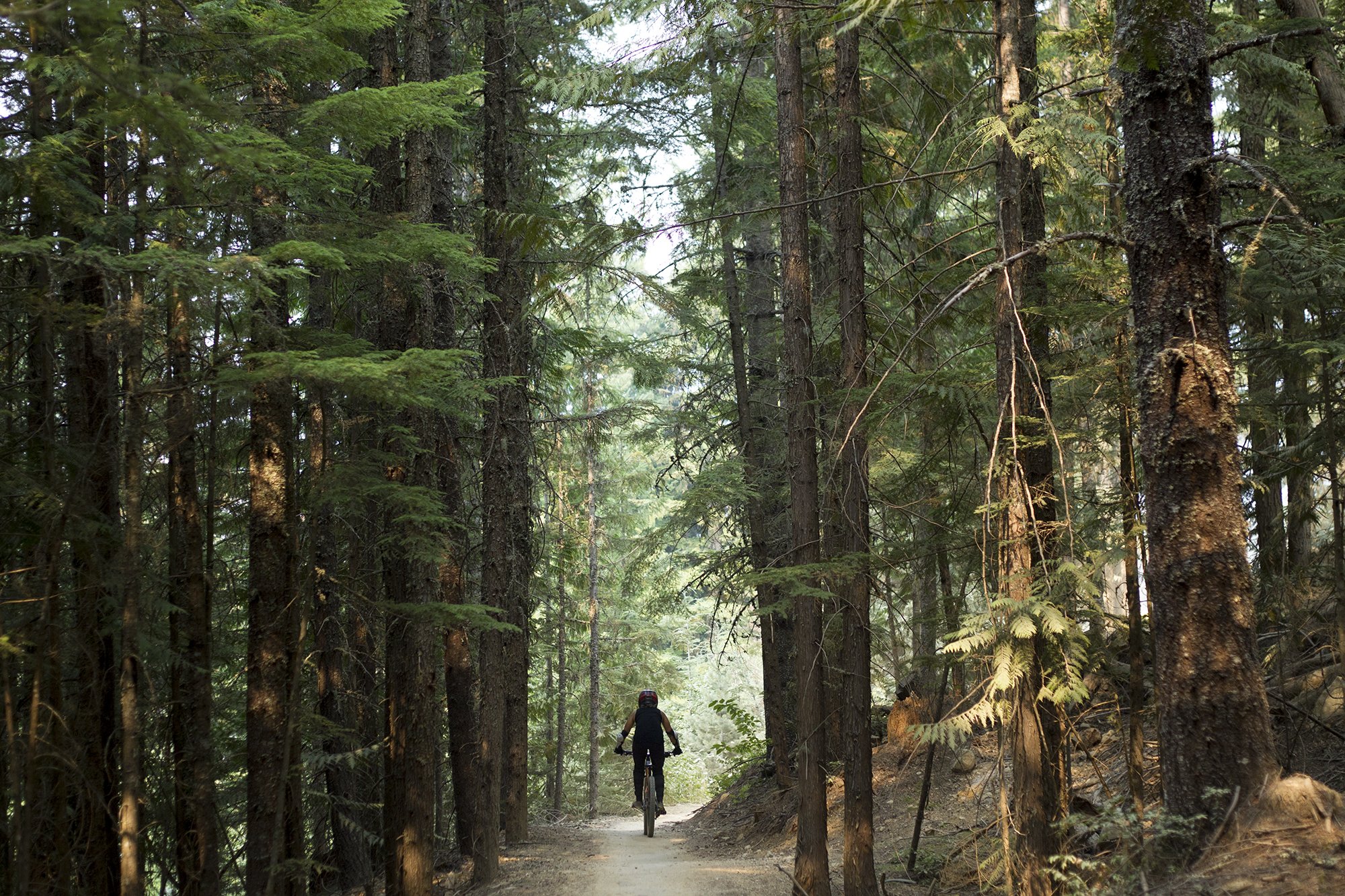 EBike Rentals — Kimberley Riverside Campground