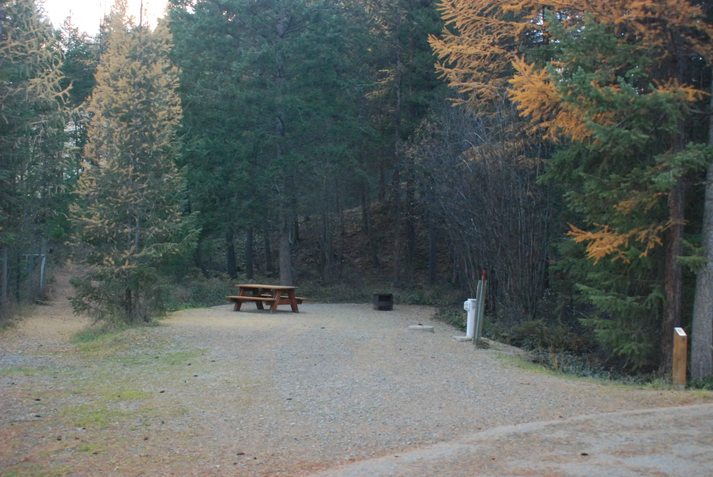 Site 91 - 45' long - 16'-20' wide (Walking path along left side)