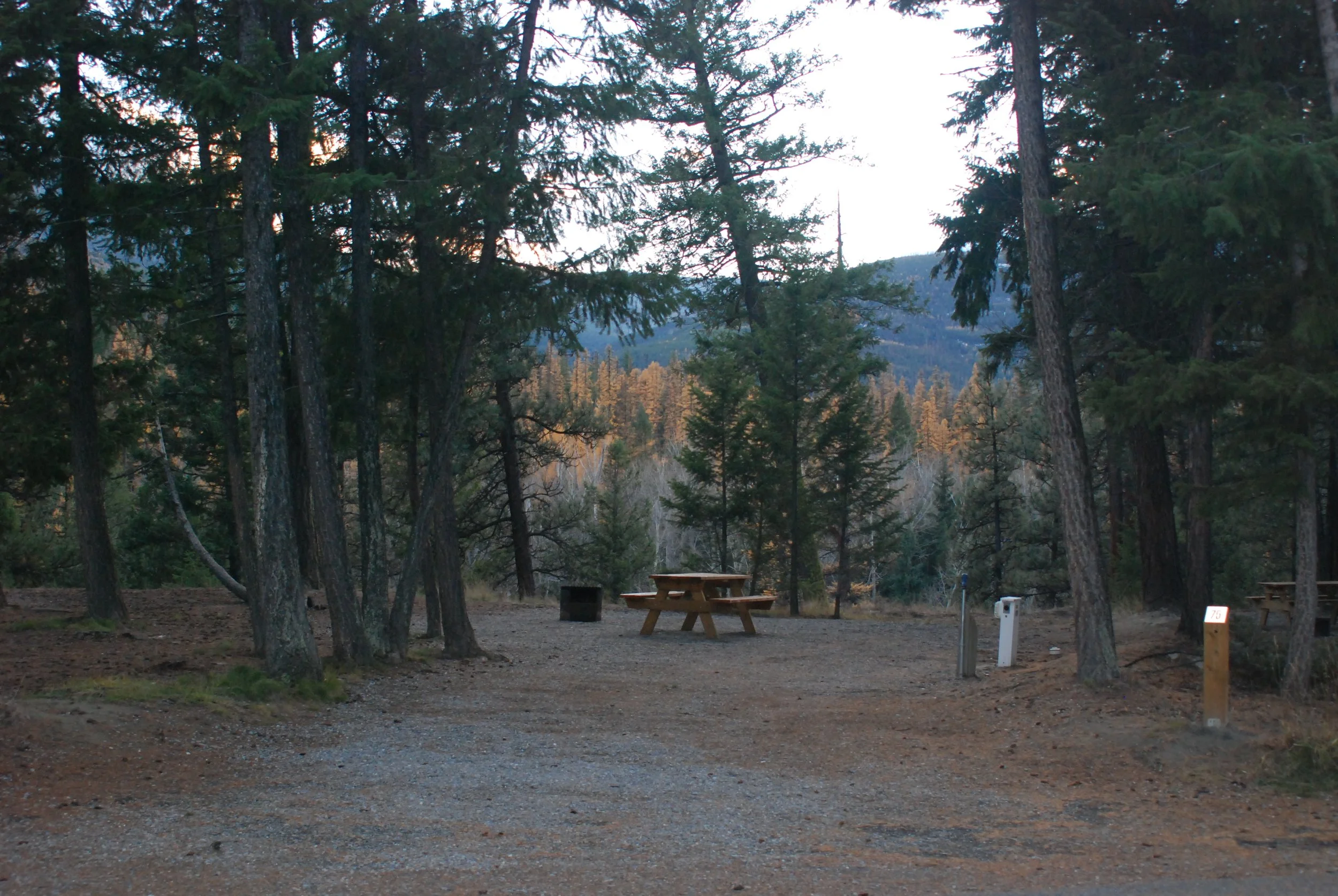 Site 75 - 40' long - 15'-23' wide