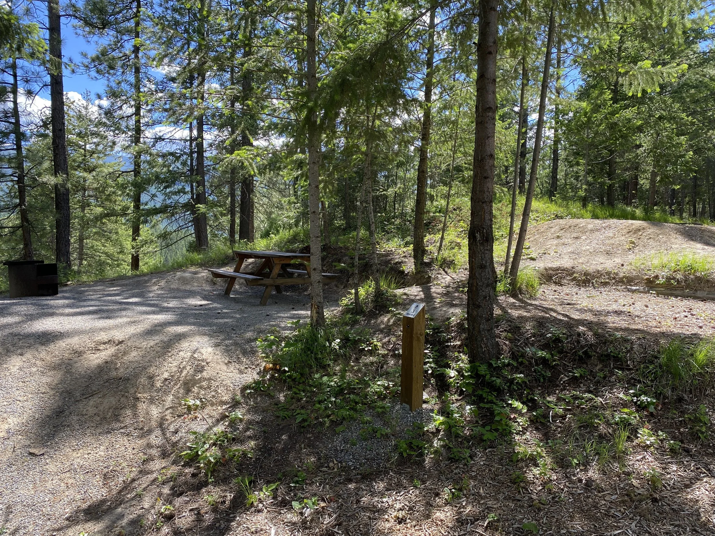 Site A - two tent pads 10' x 16' and 10' x 9'