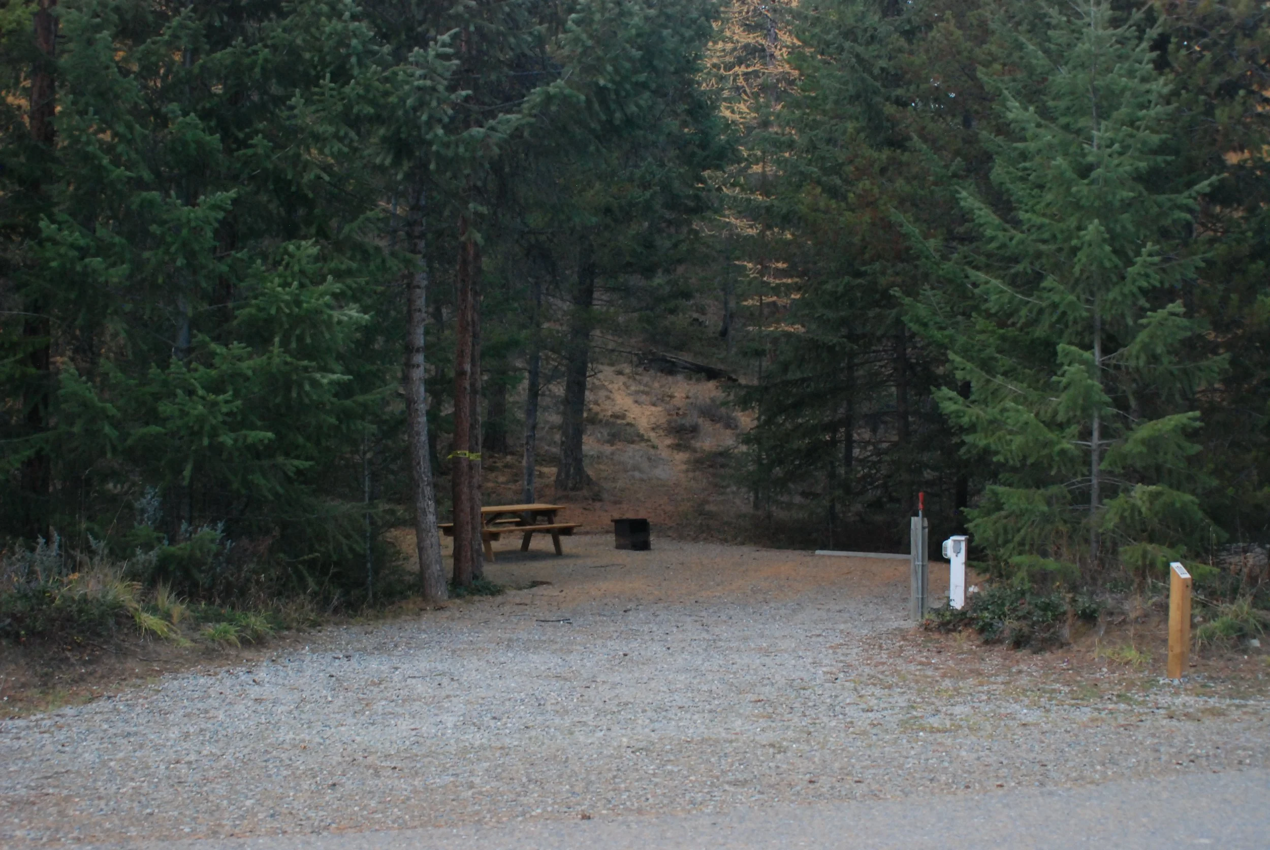 Site 101 - 45' long - 15'-20' wide