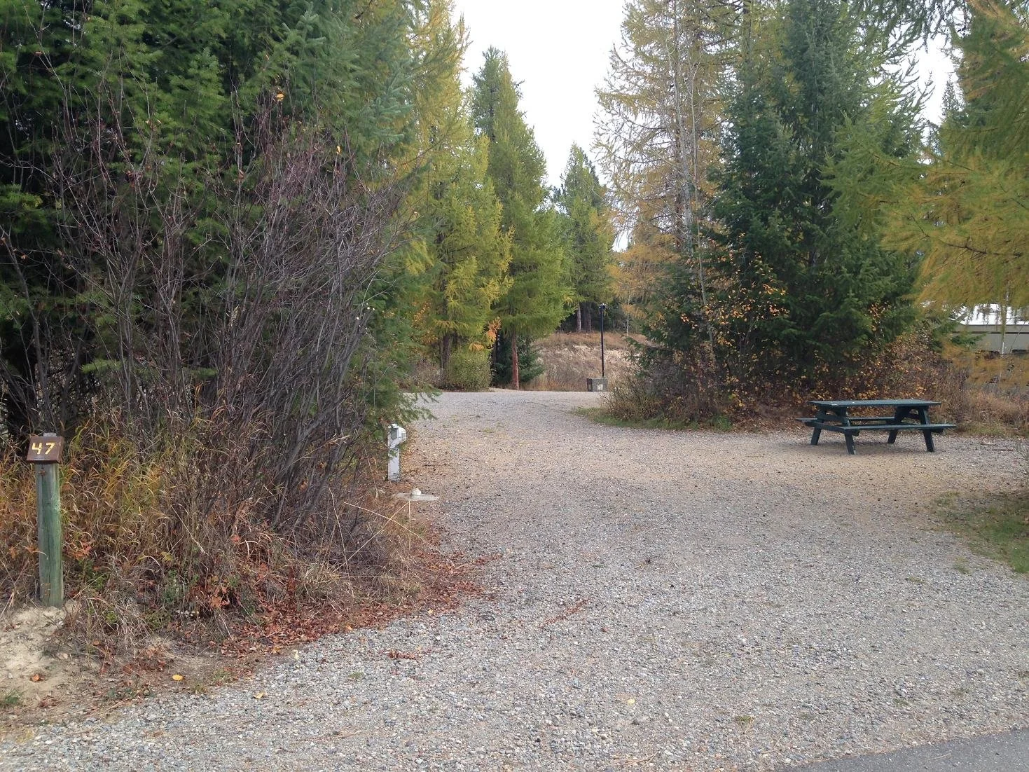 Site 47 - 50' long - 15'-32' wide