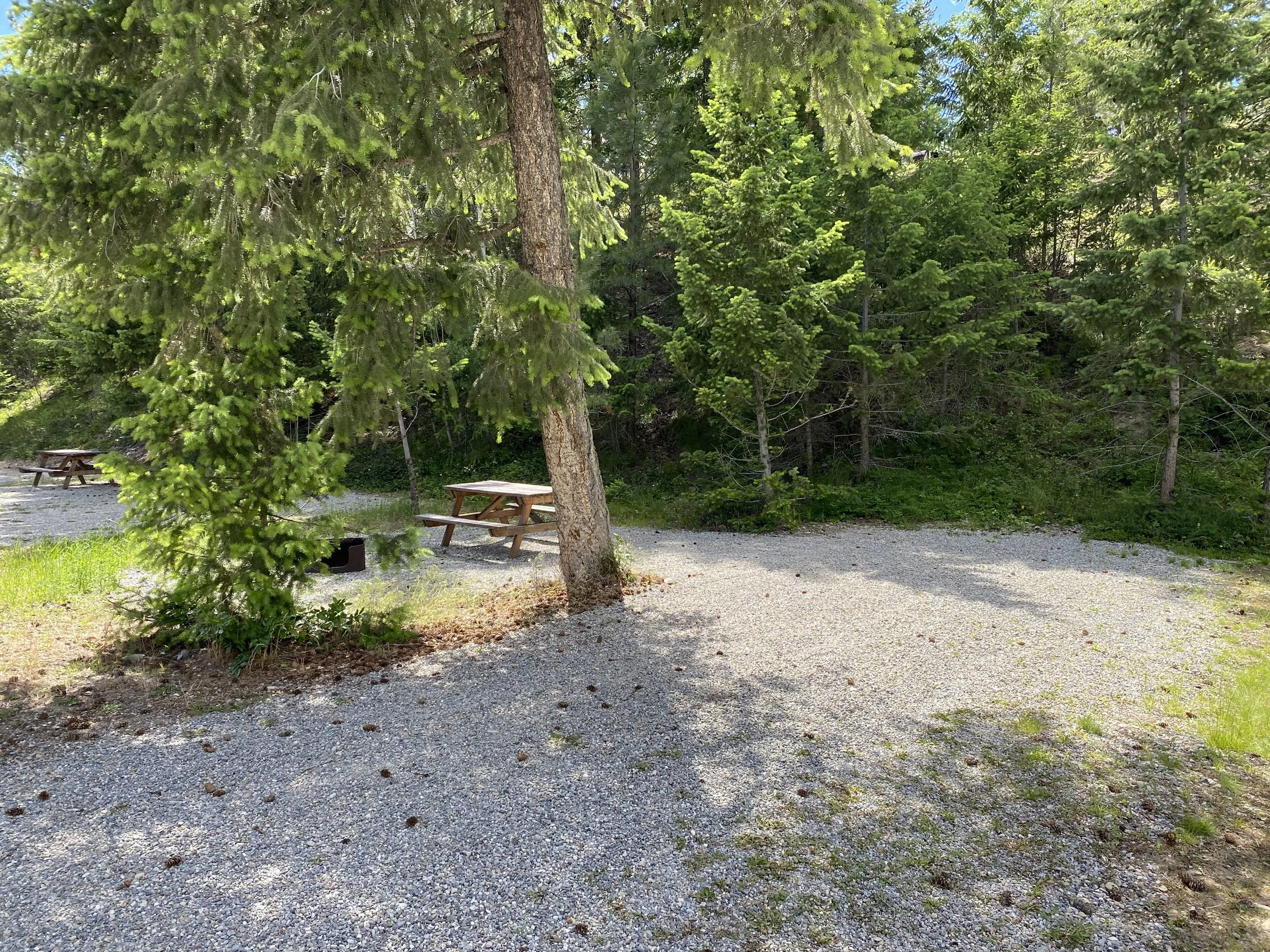 Site NS5 - 25' long