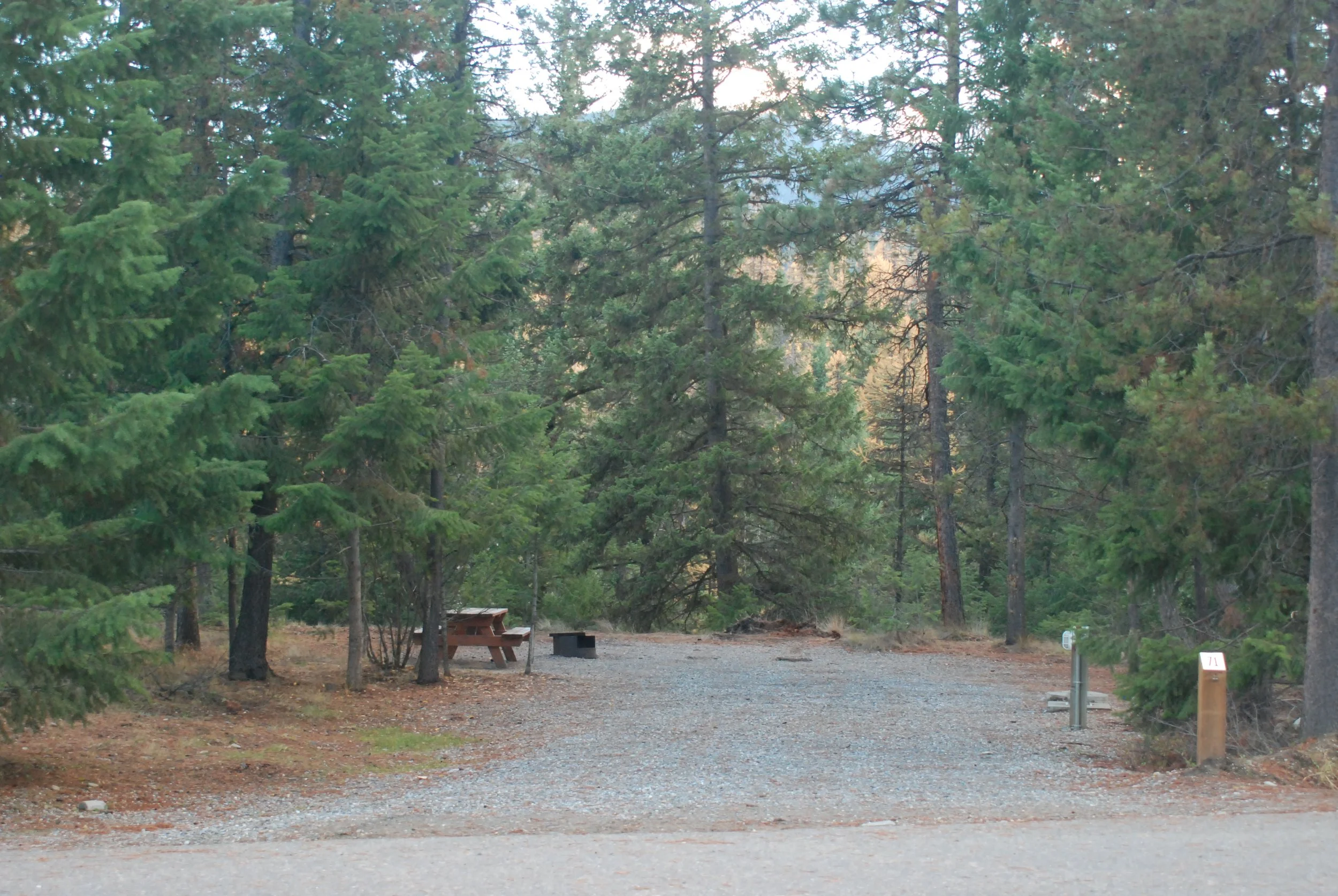 Site 71 - 55' long - 14'-24' wide