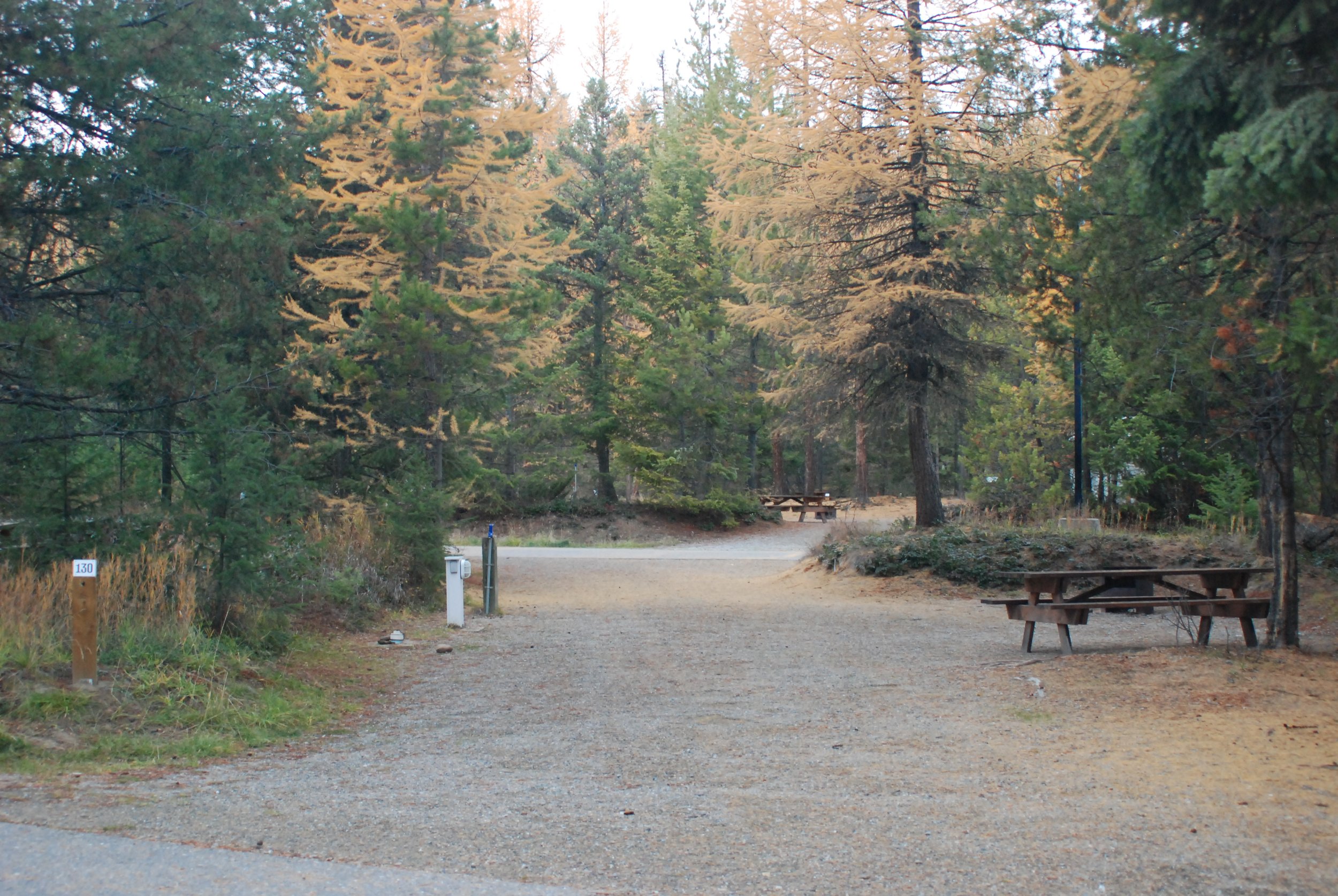 Site 130 - 70' long - 14'-24' wide