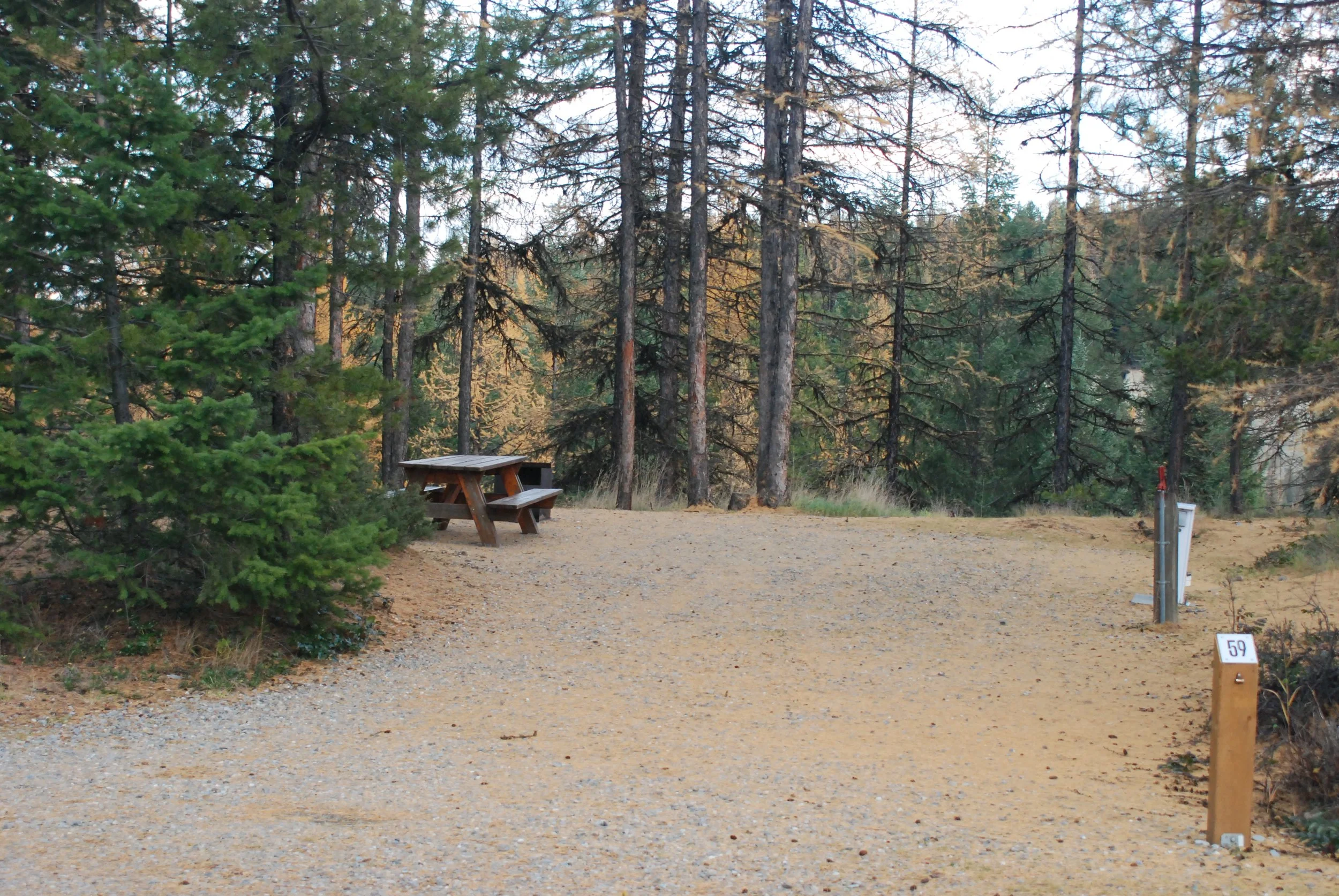 Site 59 - 45' long - 16'-31' wide
