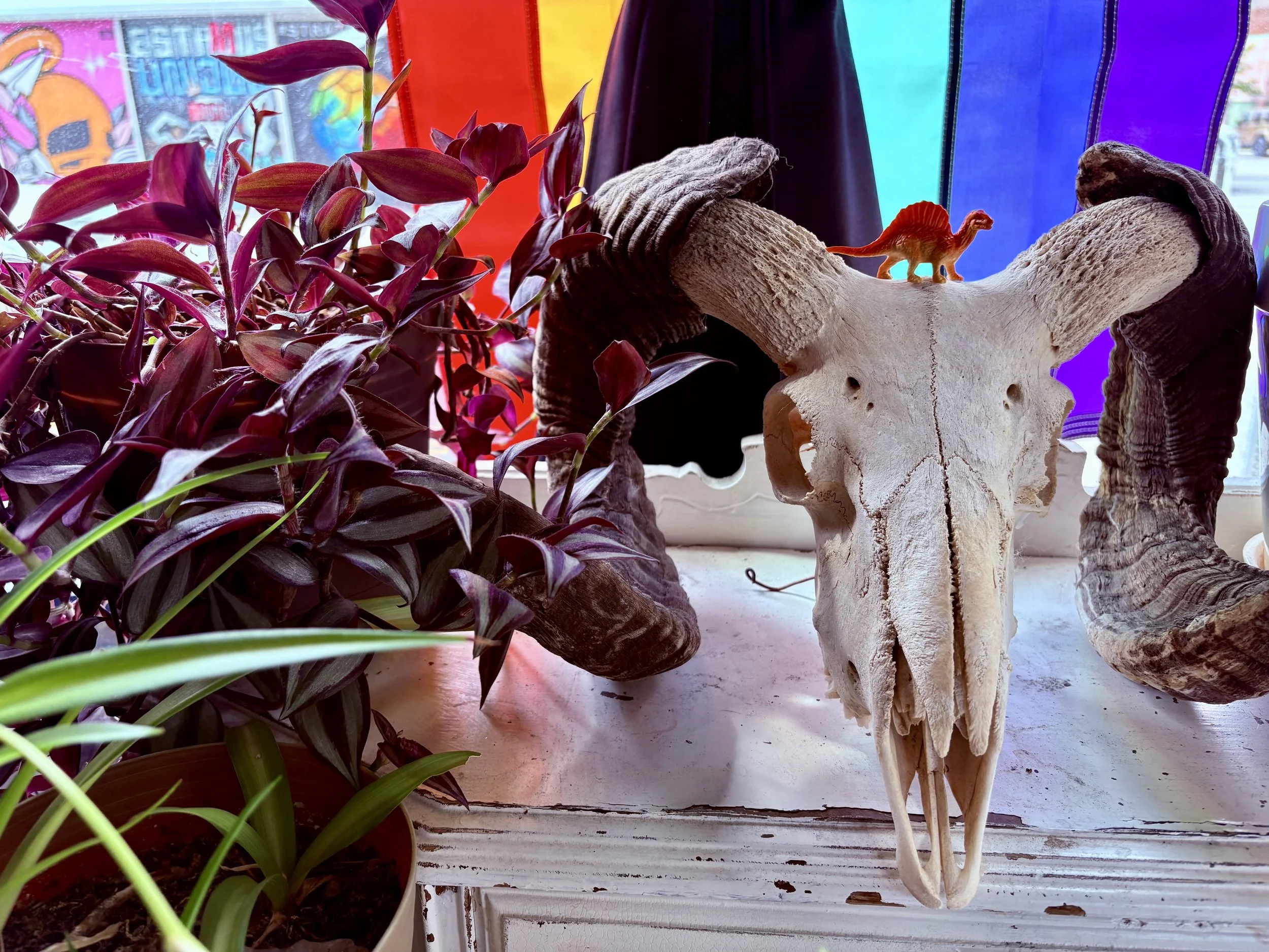 LGBTQIA Pride at Chartreuse Saloon, a welcoming, pool/games, popular, nightlife bar in Kansas City