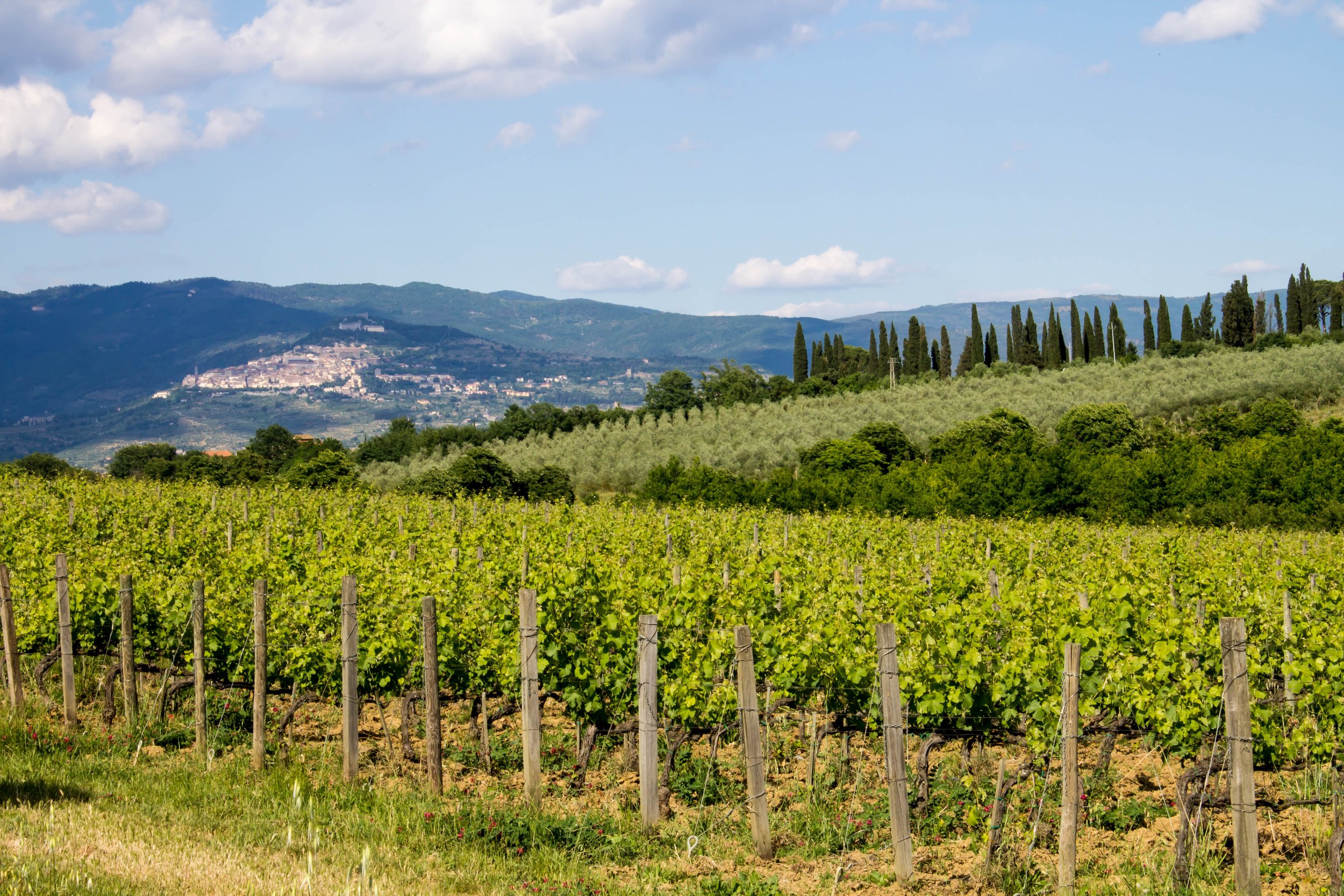 Cortona 2.jpg