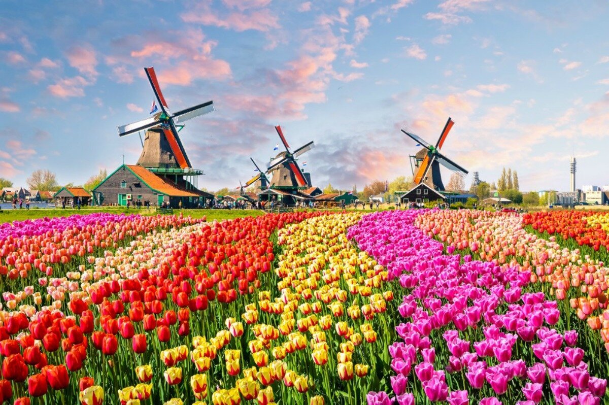 AMSTERDAM+5+.jpg