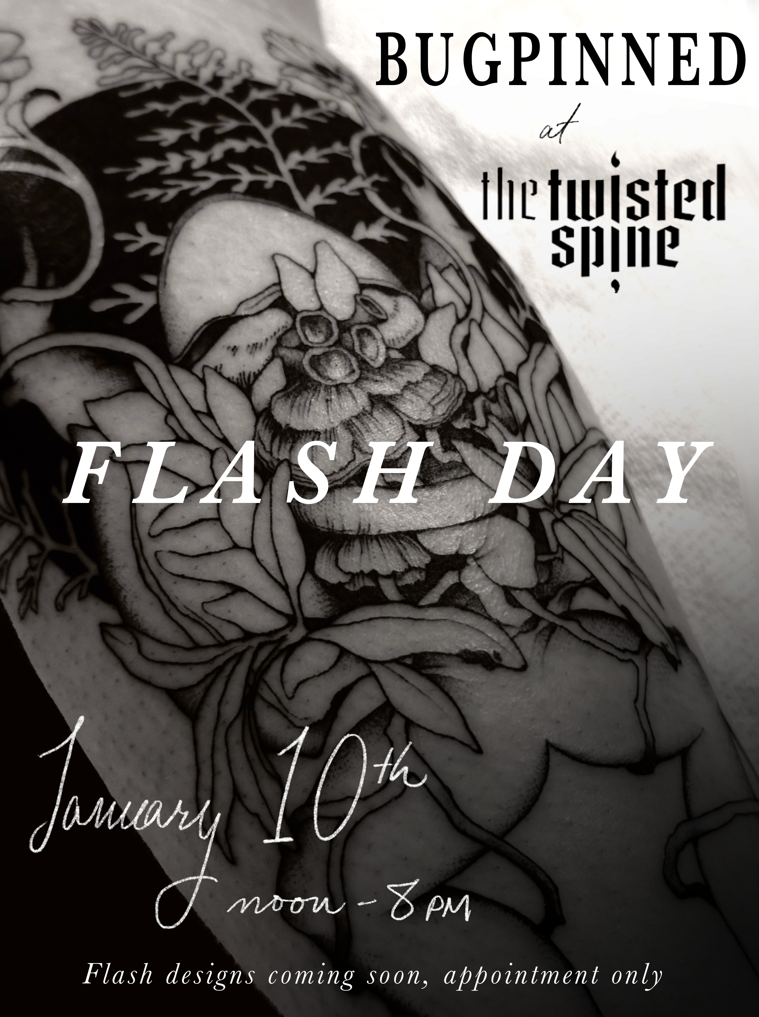 Flash Event @ the Twisted Spine