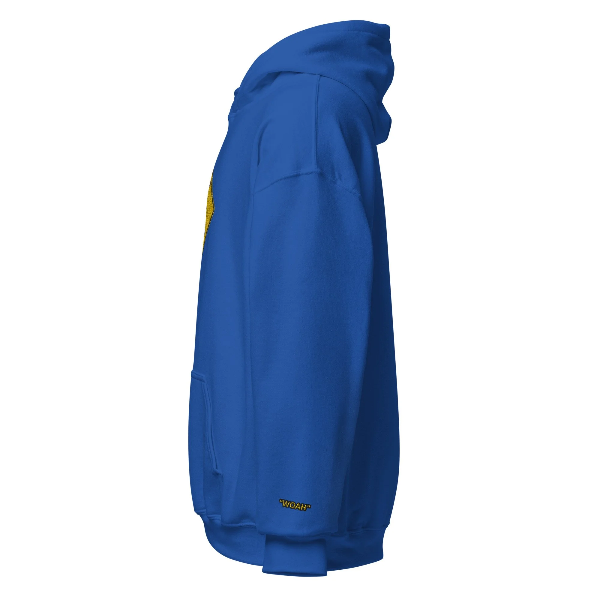 unisex-heavy-blend-hoodie-royal-left-649c690db880f.jpg