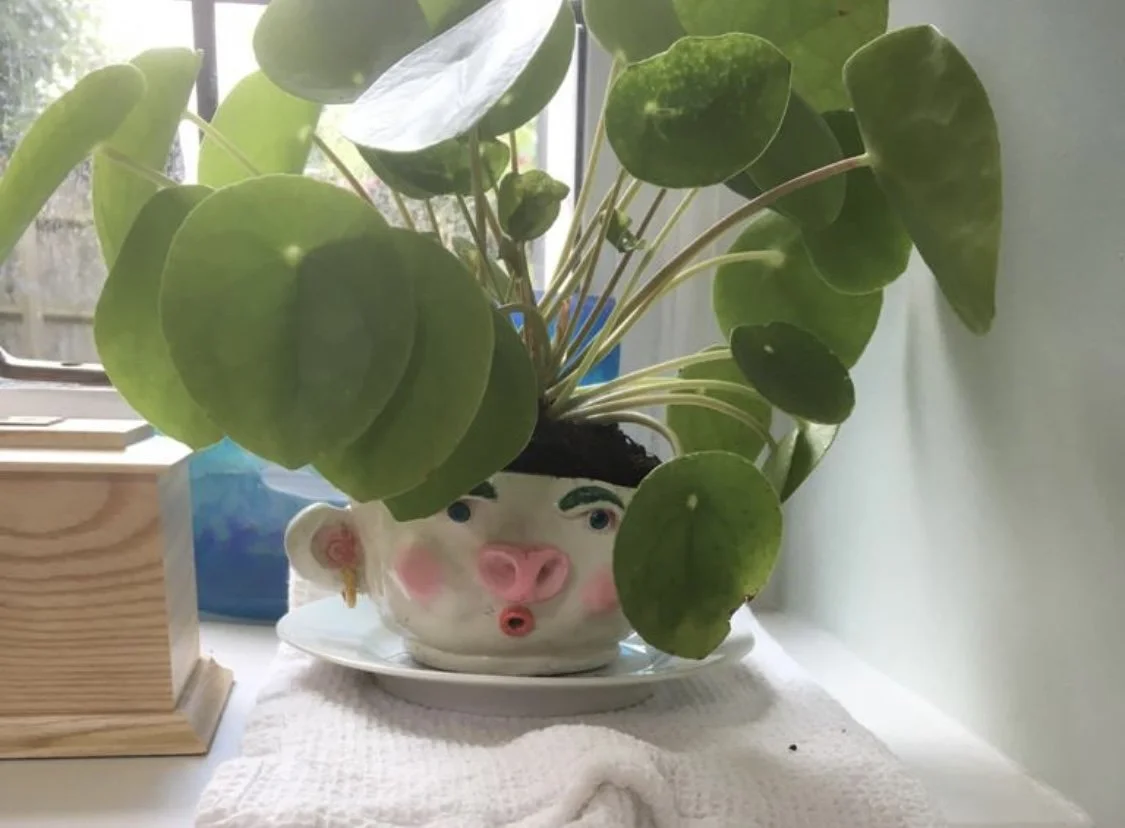 Clay plant pot