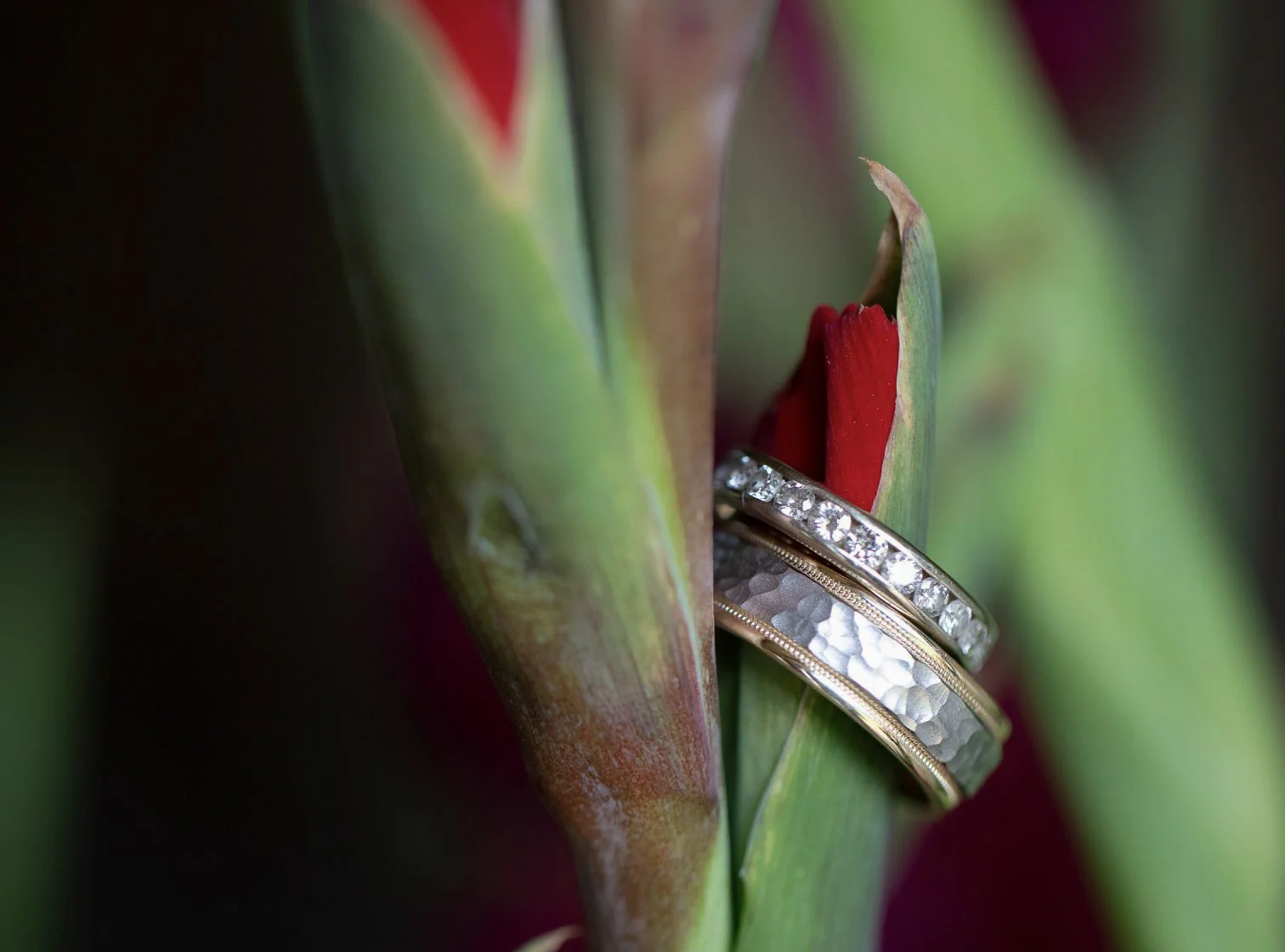 A close-up of a green plant with red flower petals, with two rings, one with diamonds and the other textured, resting on the petals.