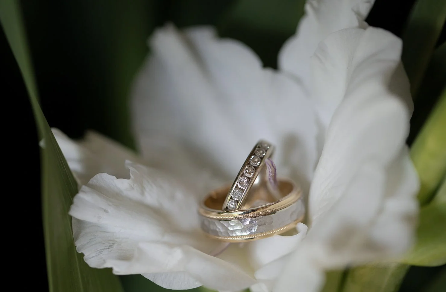 Two rings, one with diamonds and a hammered texture, nestled in a white flower with green leaves surrounding them.