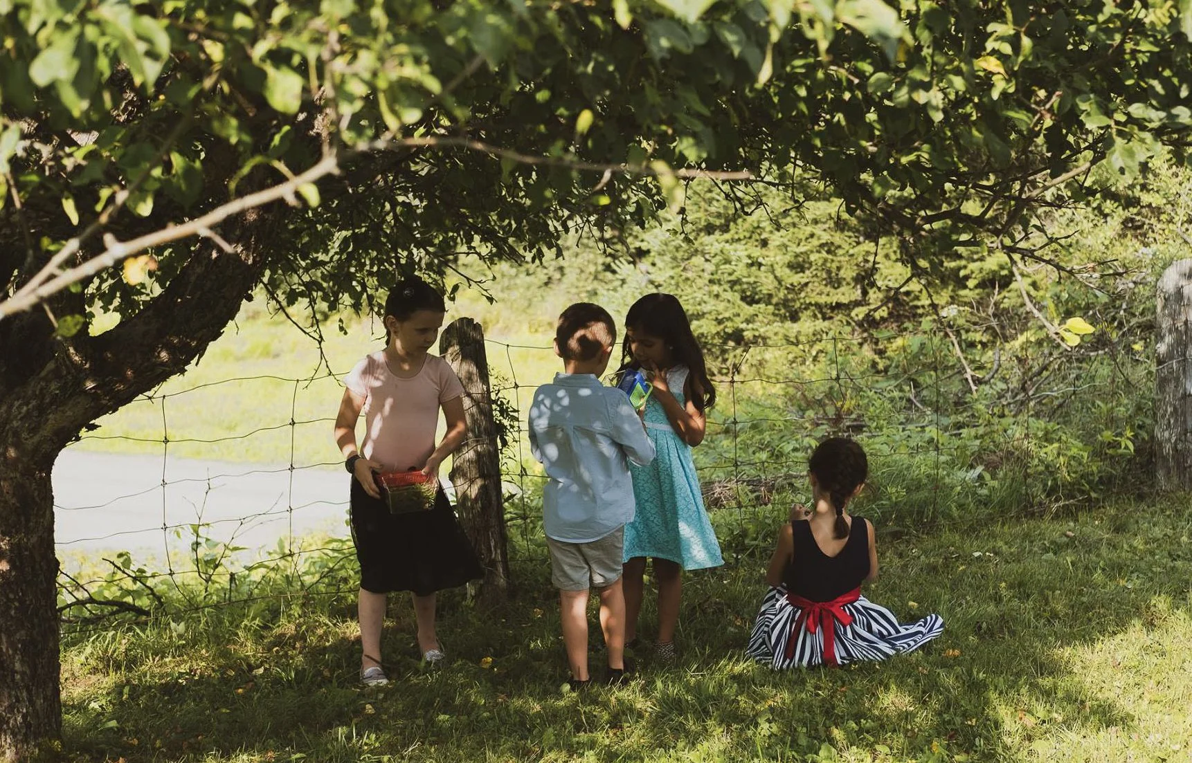 Four children standing and sitting under a tree near a wooden and wire fence in a sunny, grassy area, with one girl wearing a black dress with a red sash sitting on the grass, and the others interacting, one girl holding a basket, and a boy looking a