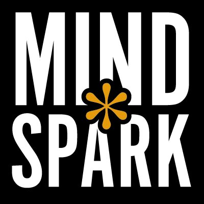 MindsparkCreative Cleveland Barons Pin