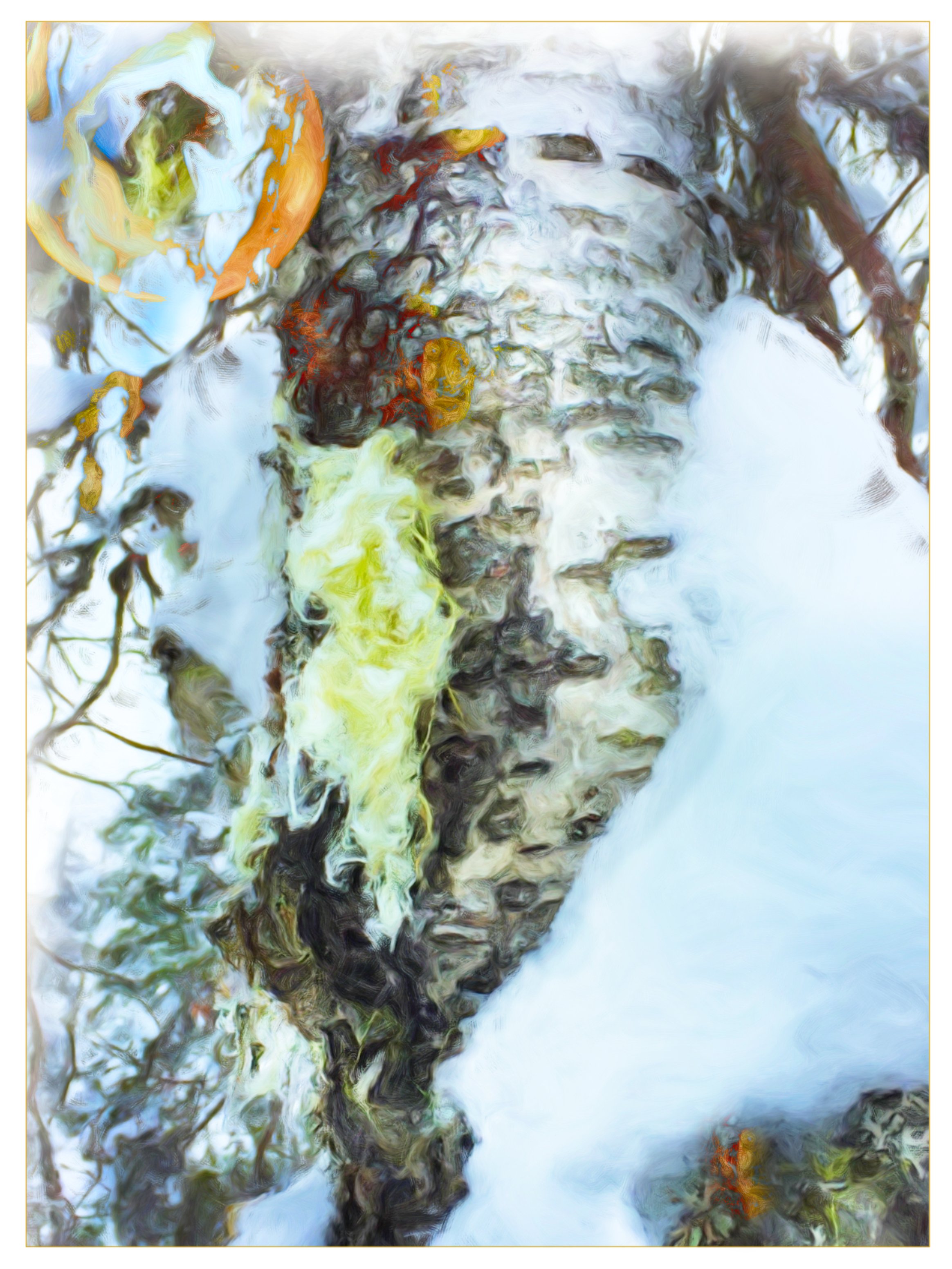 IMG_8074_Schneewald Birke.jpg