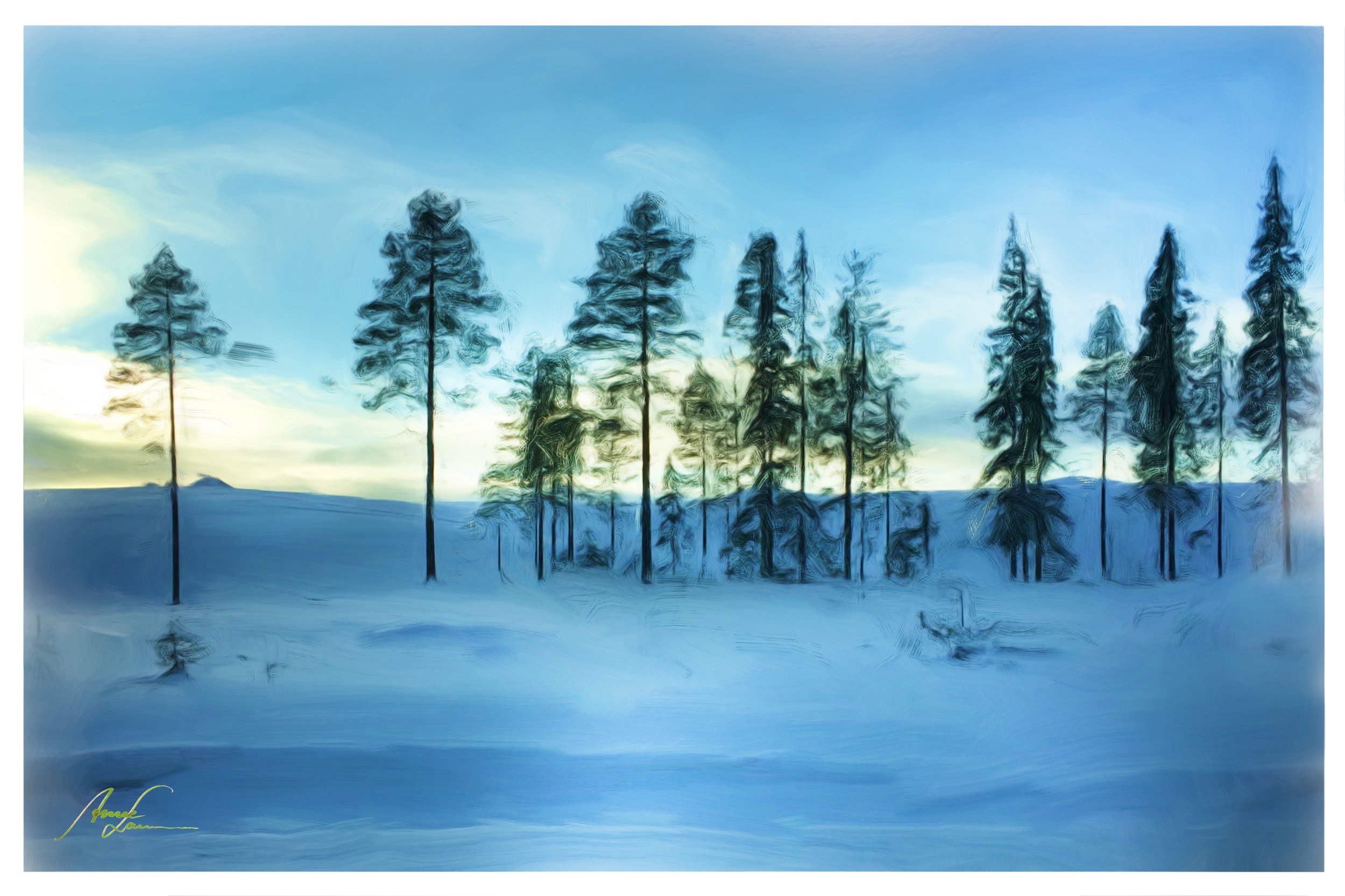 IMG_7008_Dunkle Winterlandschaft .jpg