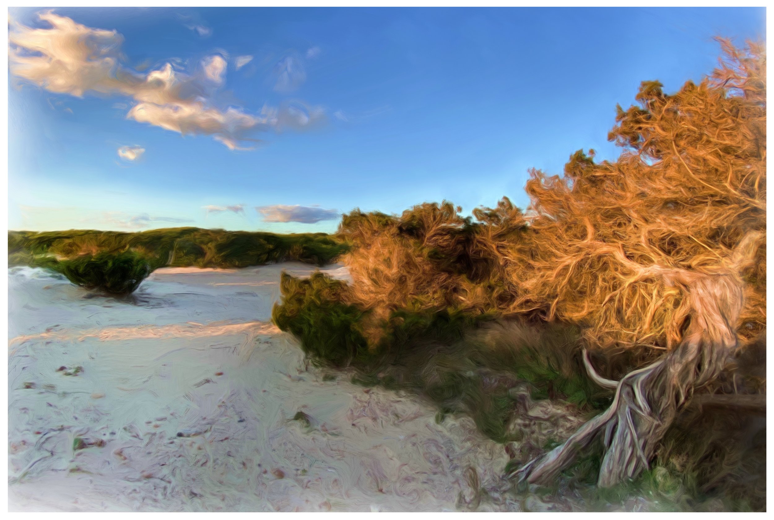 IMG_8100_Naturschutz Strand.jpg