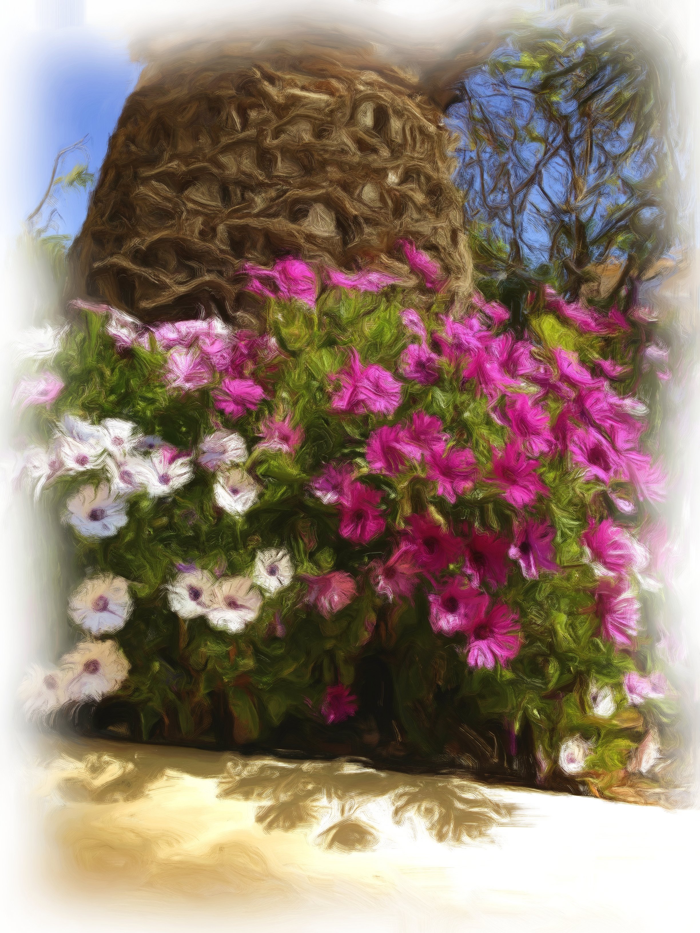 IMG_3220_Palmen blumen 2.jpg
