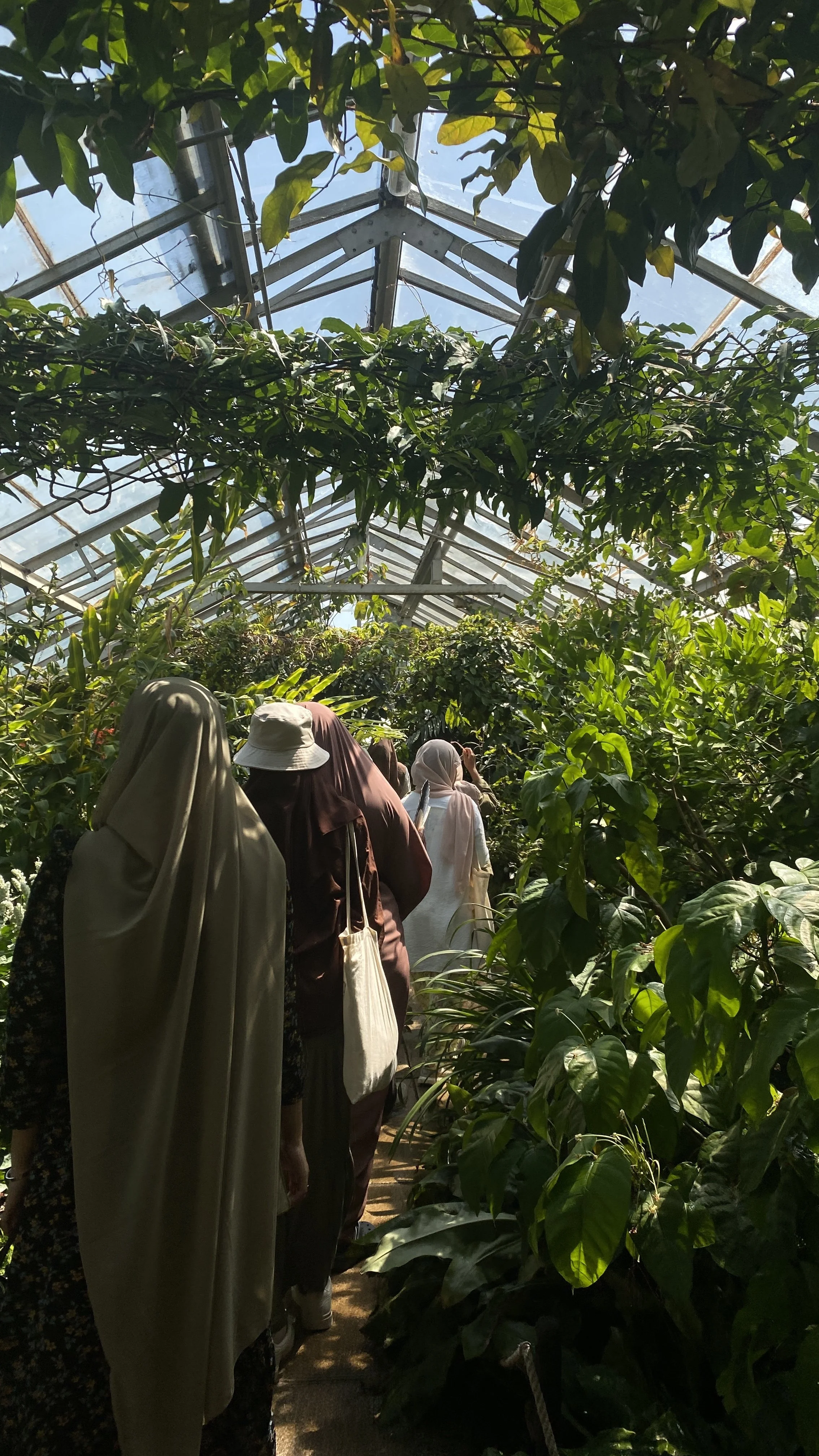 Copy of IMG_9808.JPG