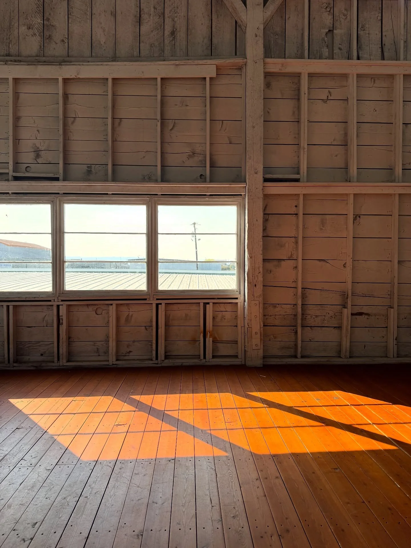 I came for the wedding but I stayed for Pickles and Frankie&hellip;oh and rage cage at the reception. 

&hellip;had the best time with our friends and haven&rsquo;t laughed that hard in a long time. Congrats you guys. 
🥹❤️💍