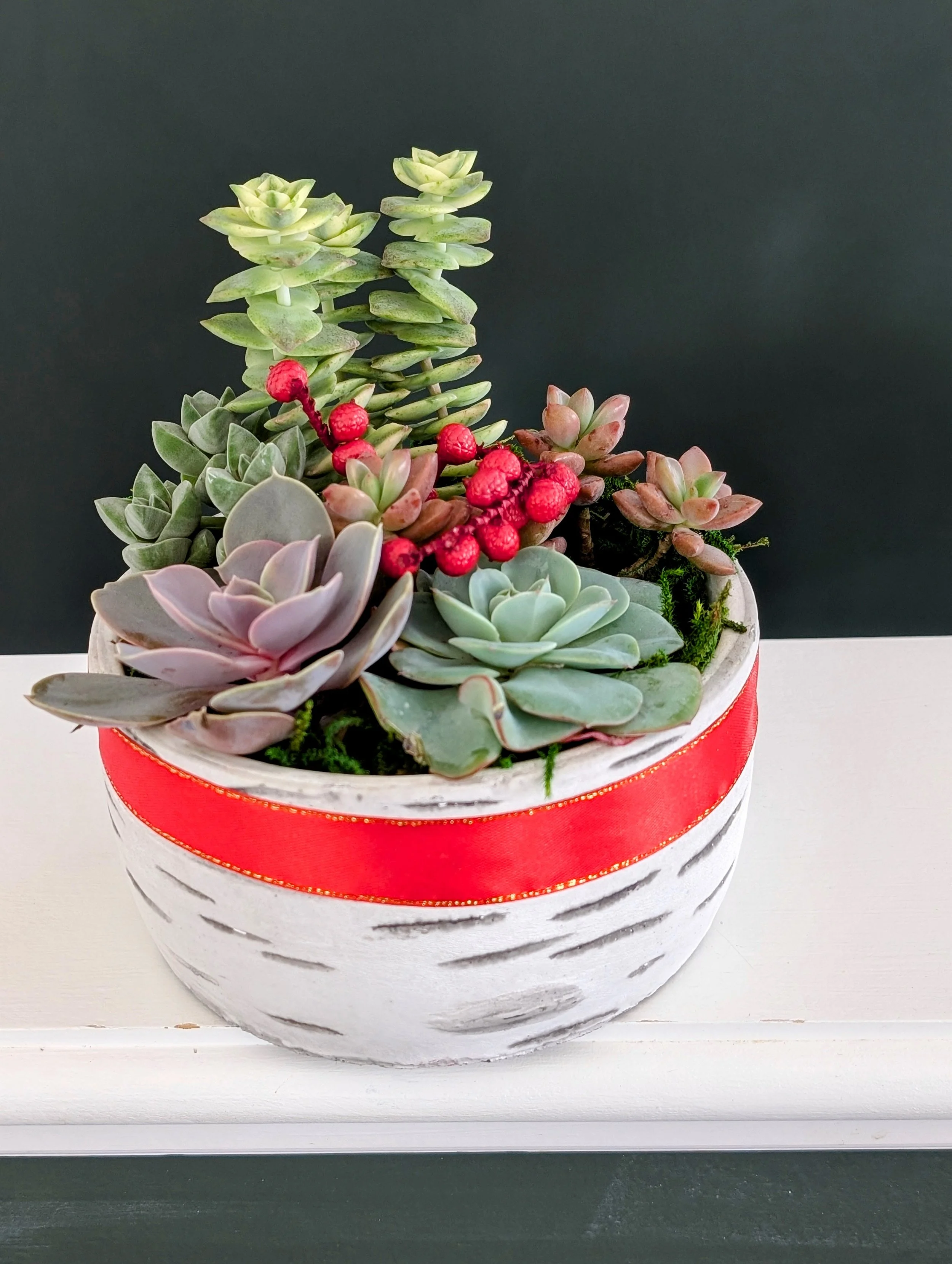 Holiday Succulent Garden